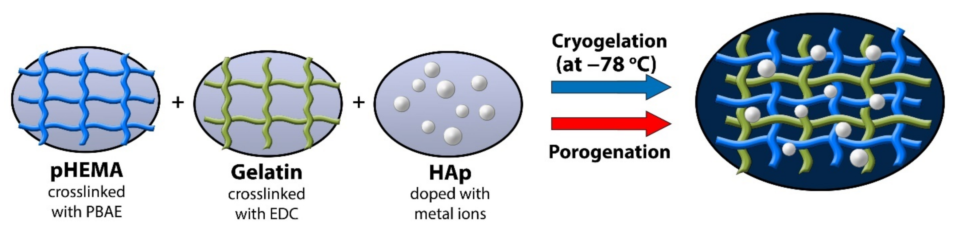 Polymers 14 00018 g001