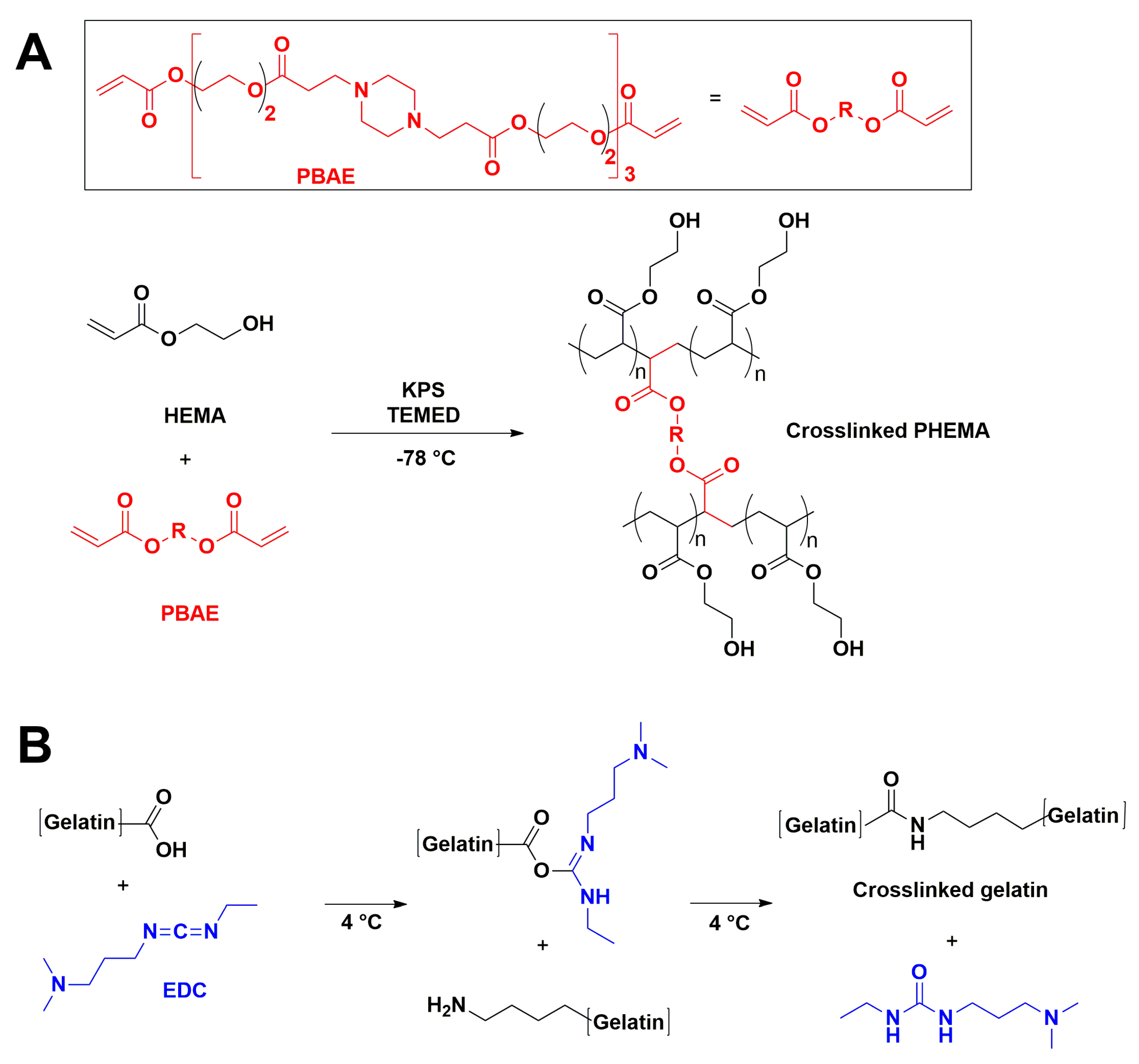 Polymers 14 00018 g002
