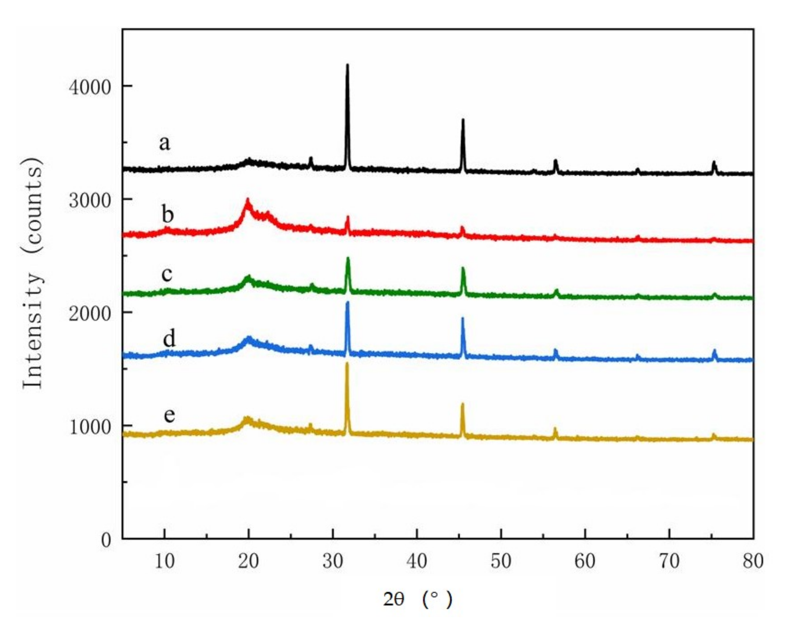 Polymers 14 00032 g006