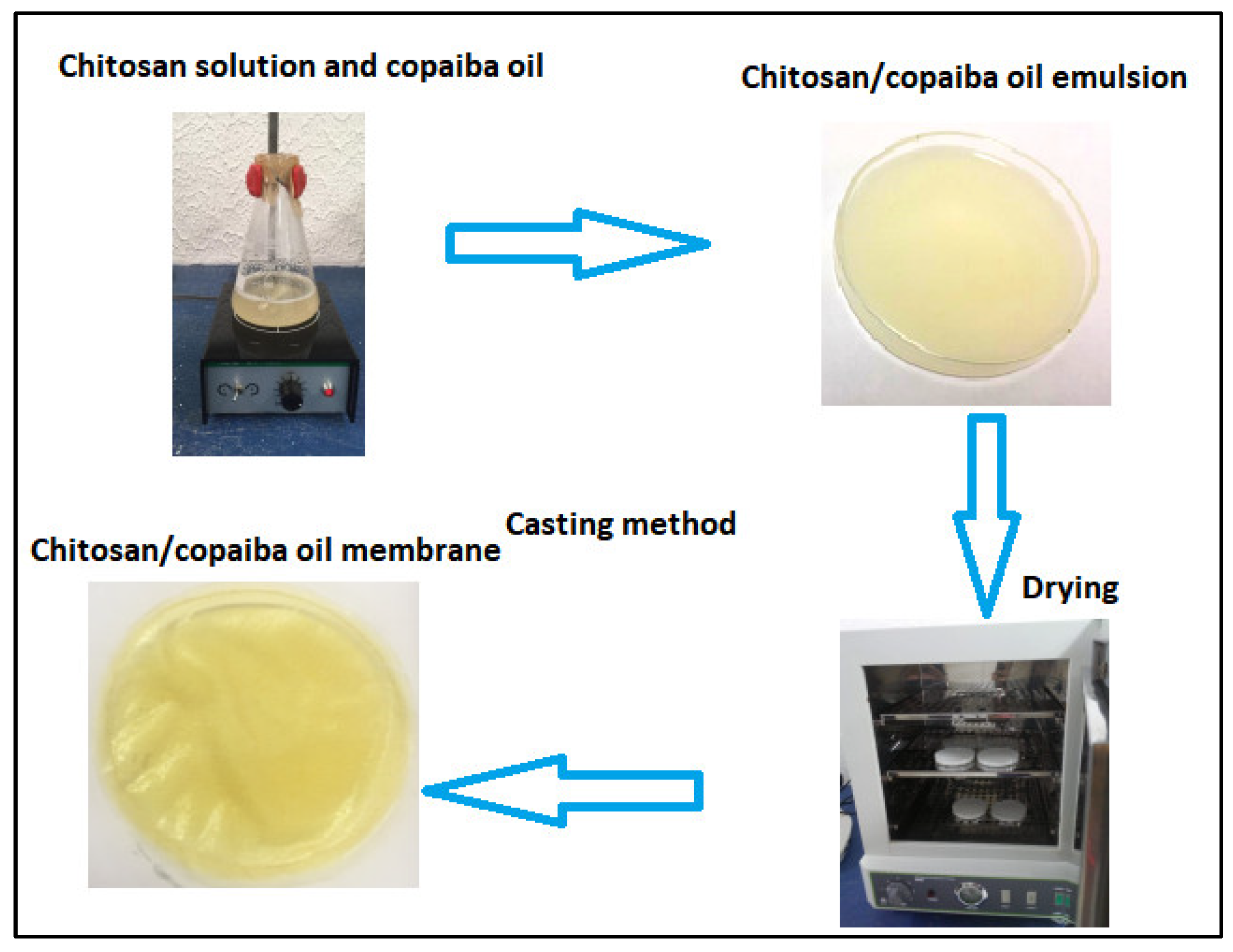 Polymers 14 00035 g001