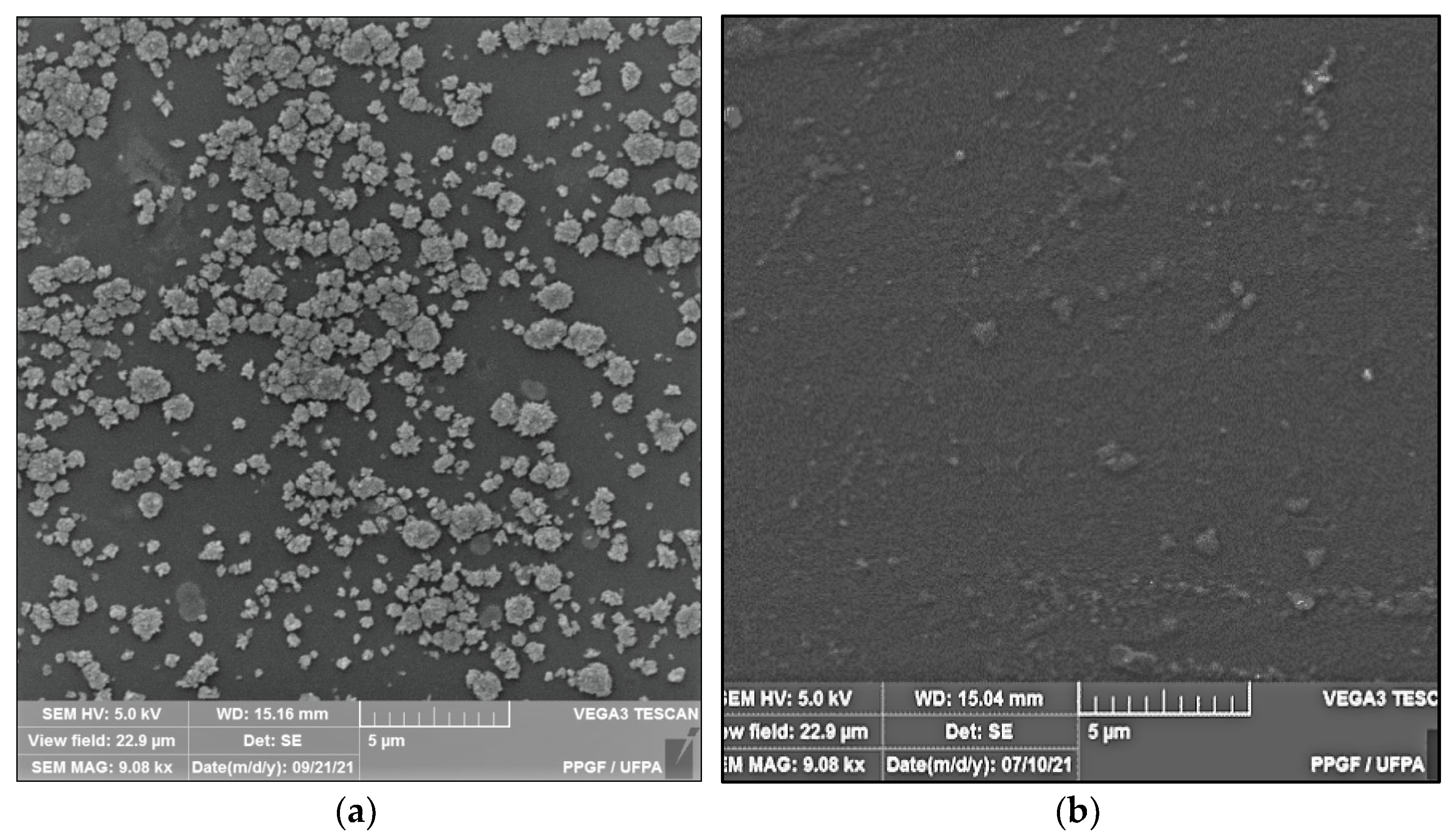 Polymers 14 00035 g002a