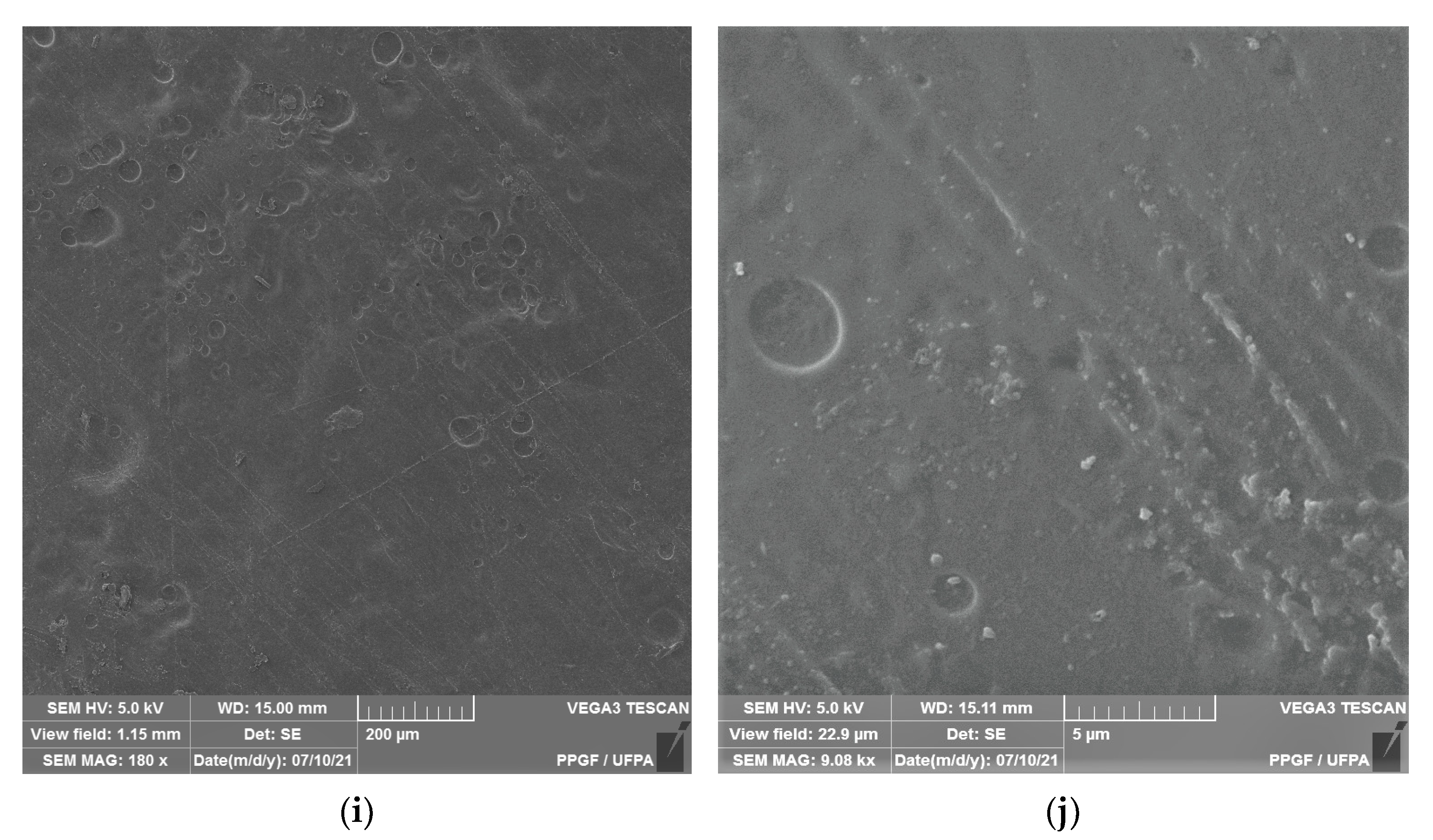 Polymers 14 00035 g002c