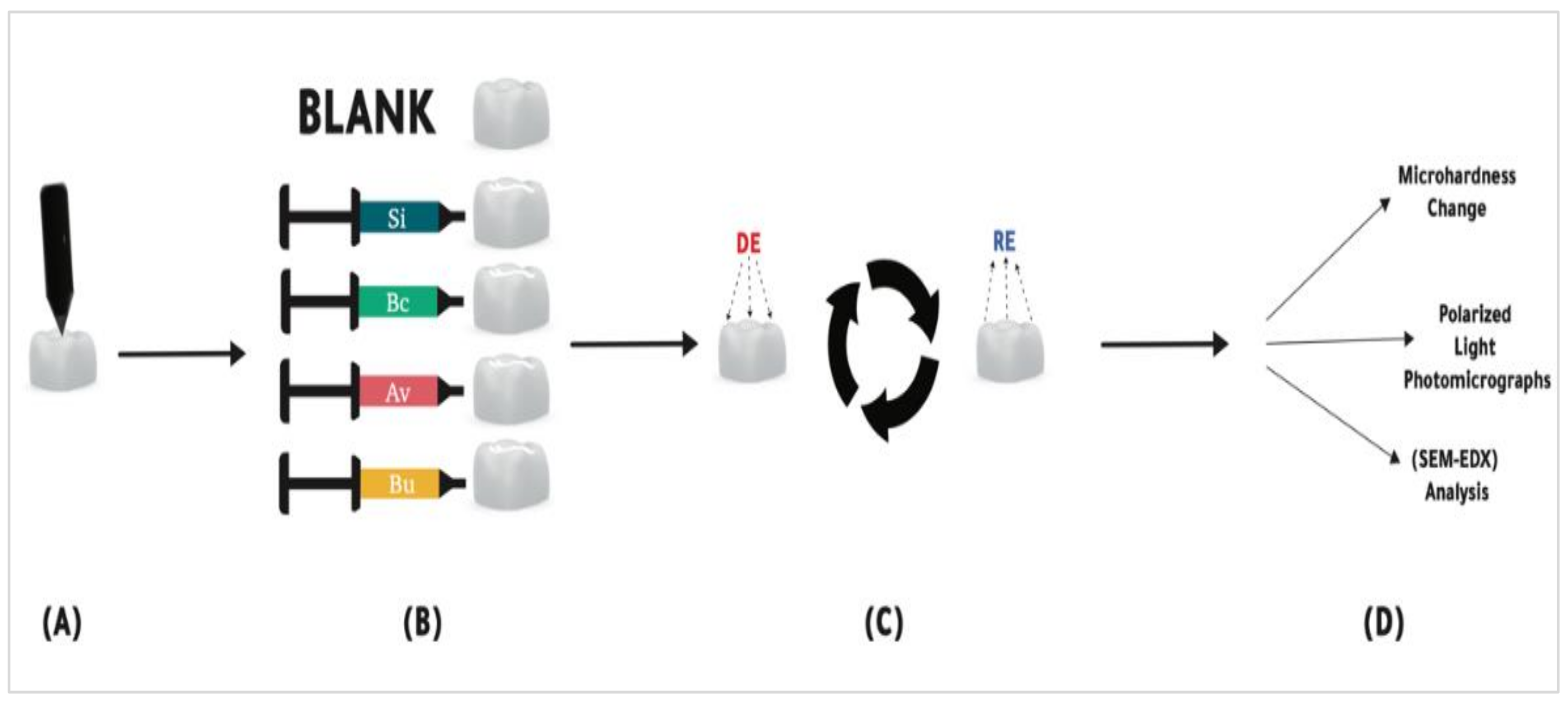 Polymers 14 00061 g001