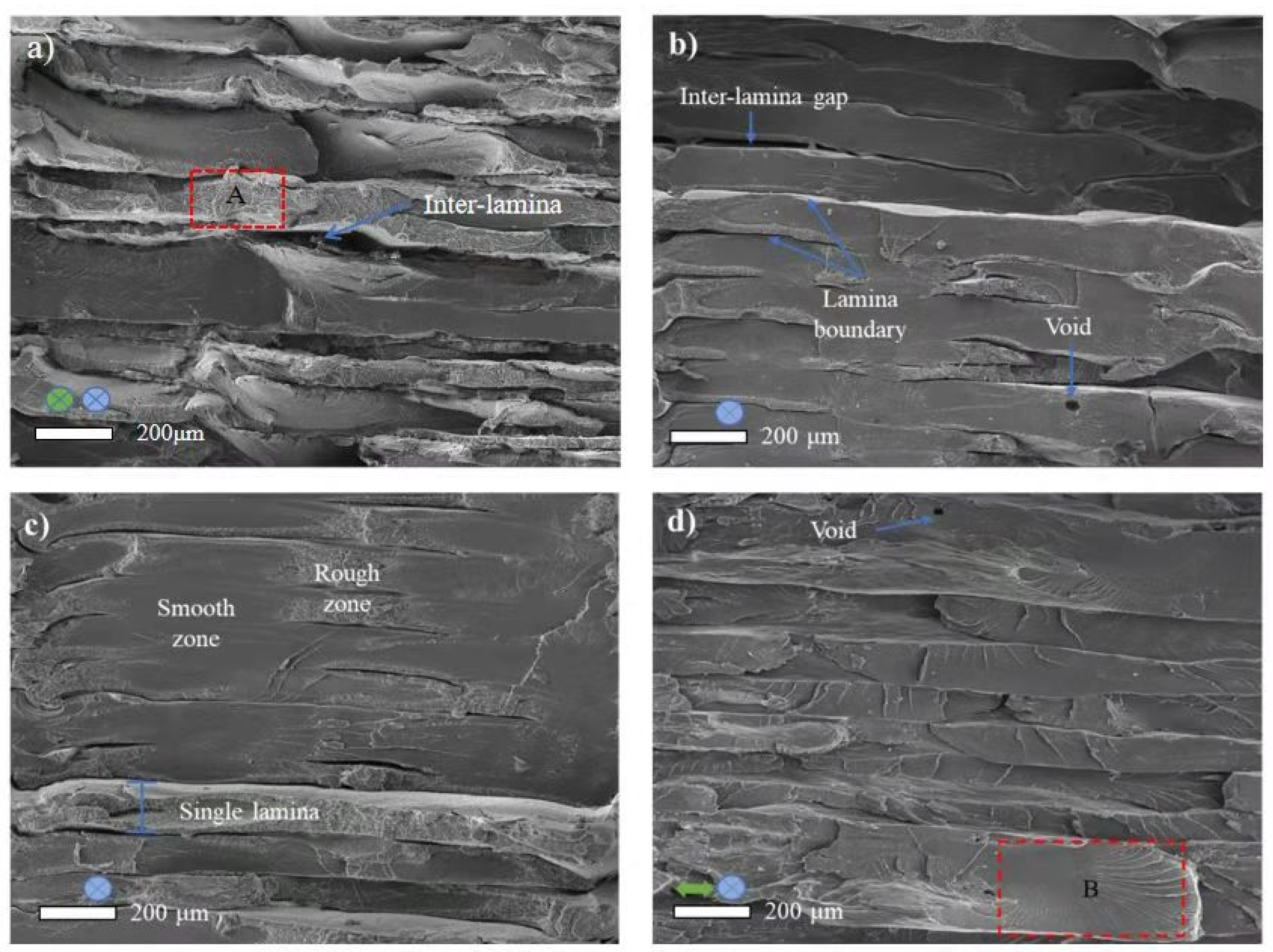 Polymers 14 00077 g008