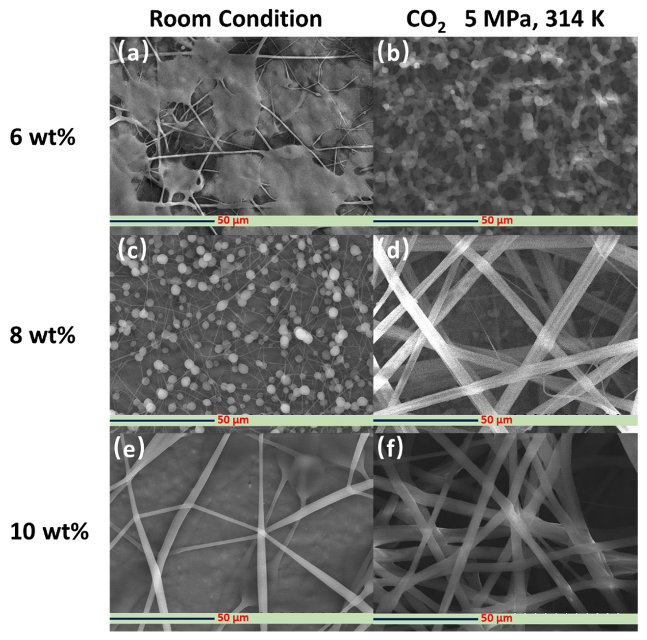 Polymers 14 00089 g006