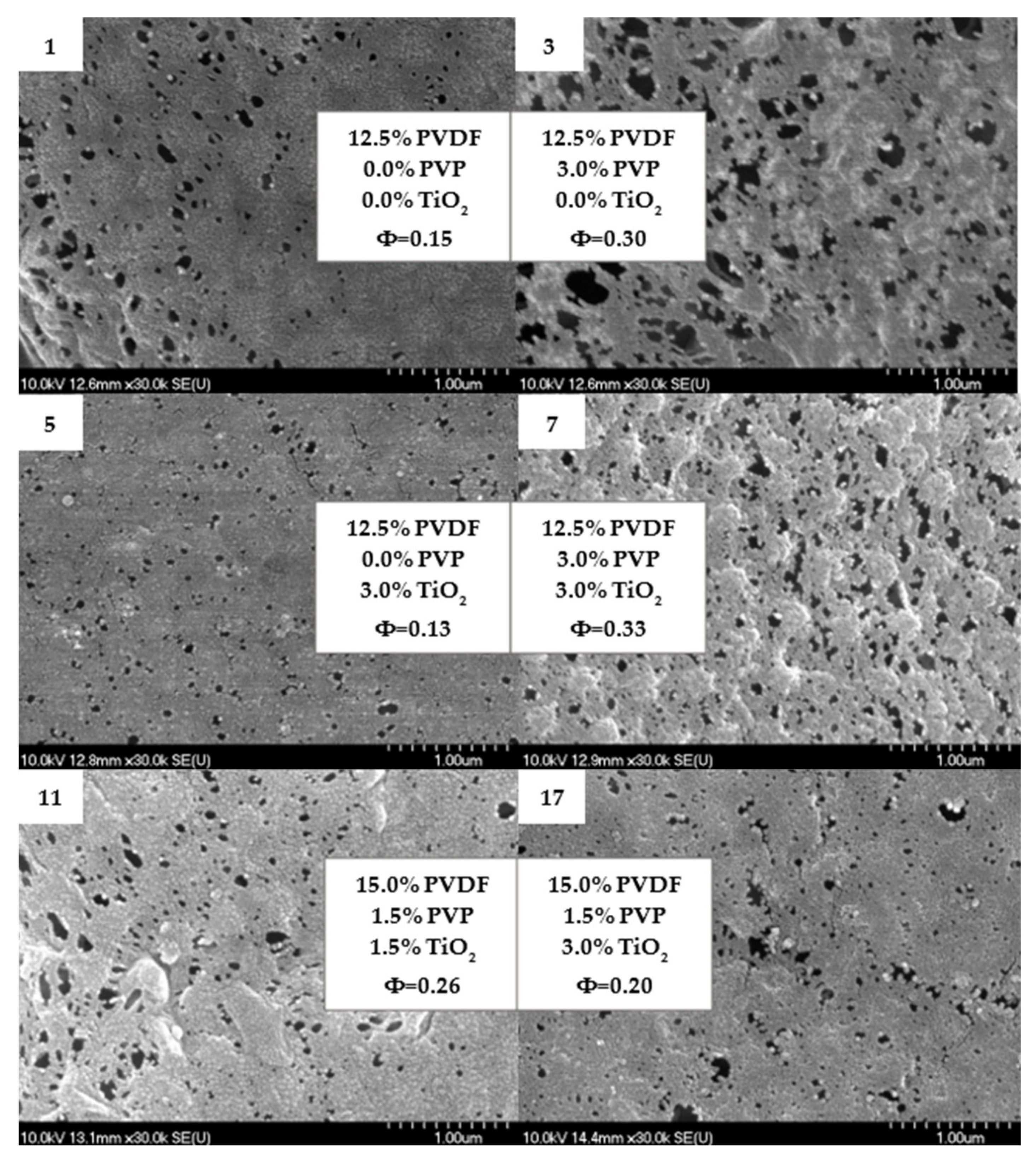 Polymers 14 00113 g003