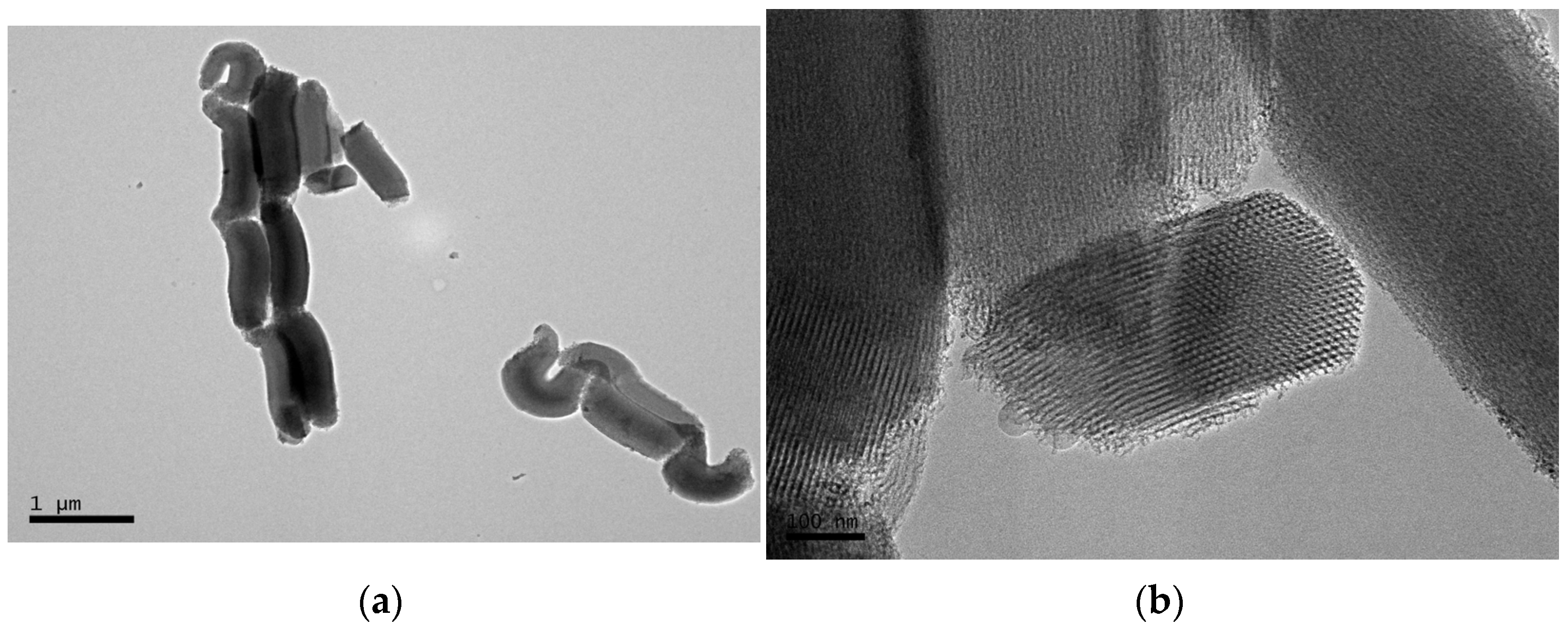 Polymers 14 00129 g001 Polymers 14 00129 g001