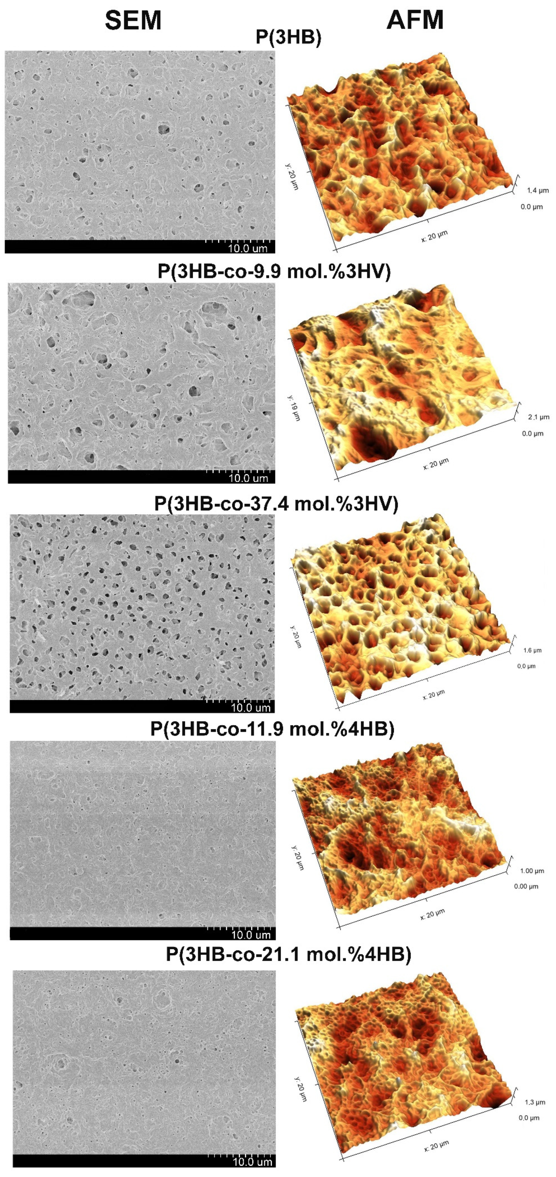 Polymers 14 00132 g006