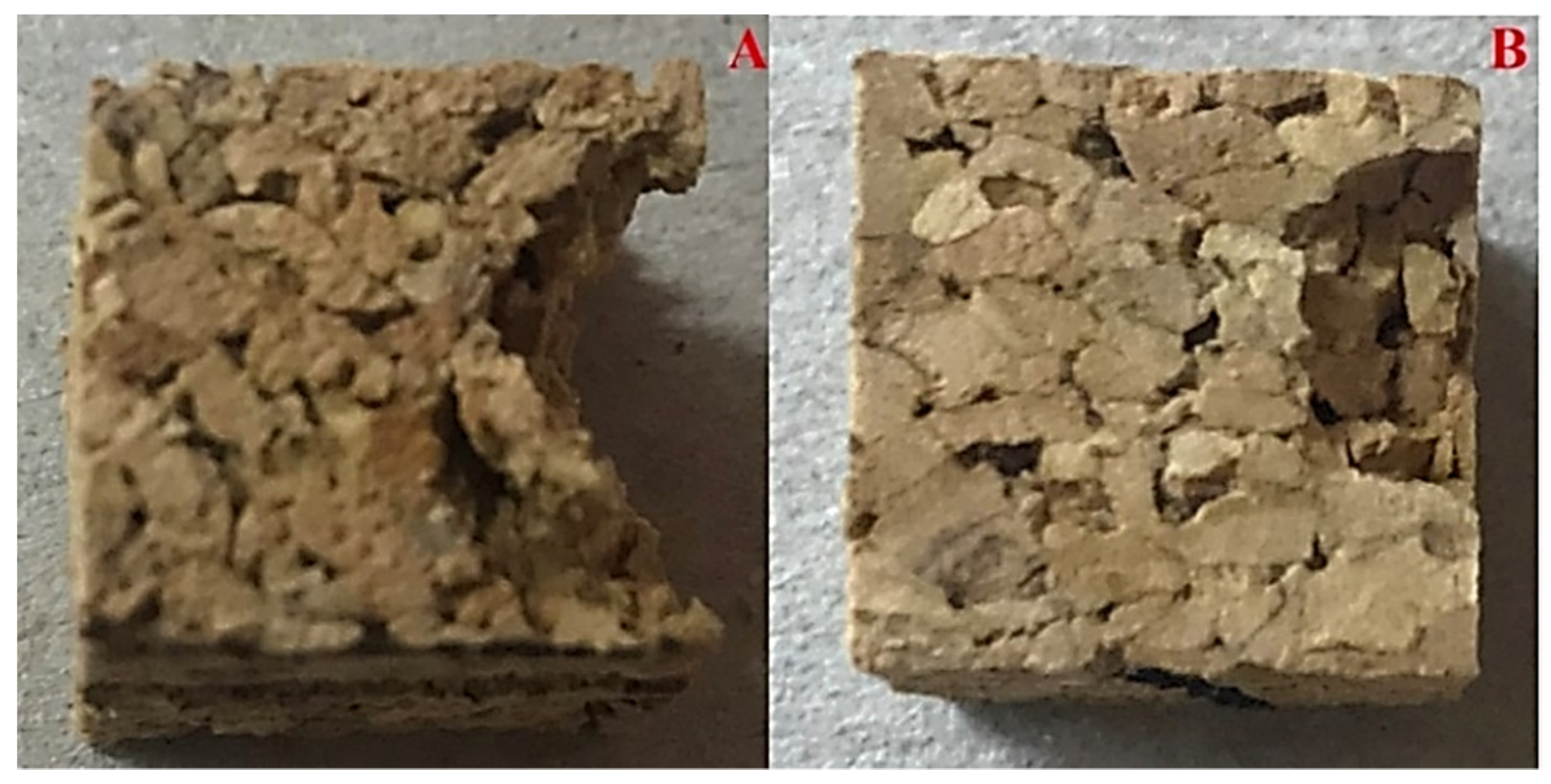 Polymers 14 00134 g005