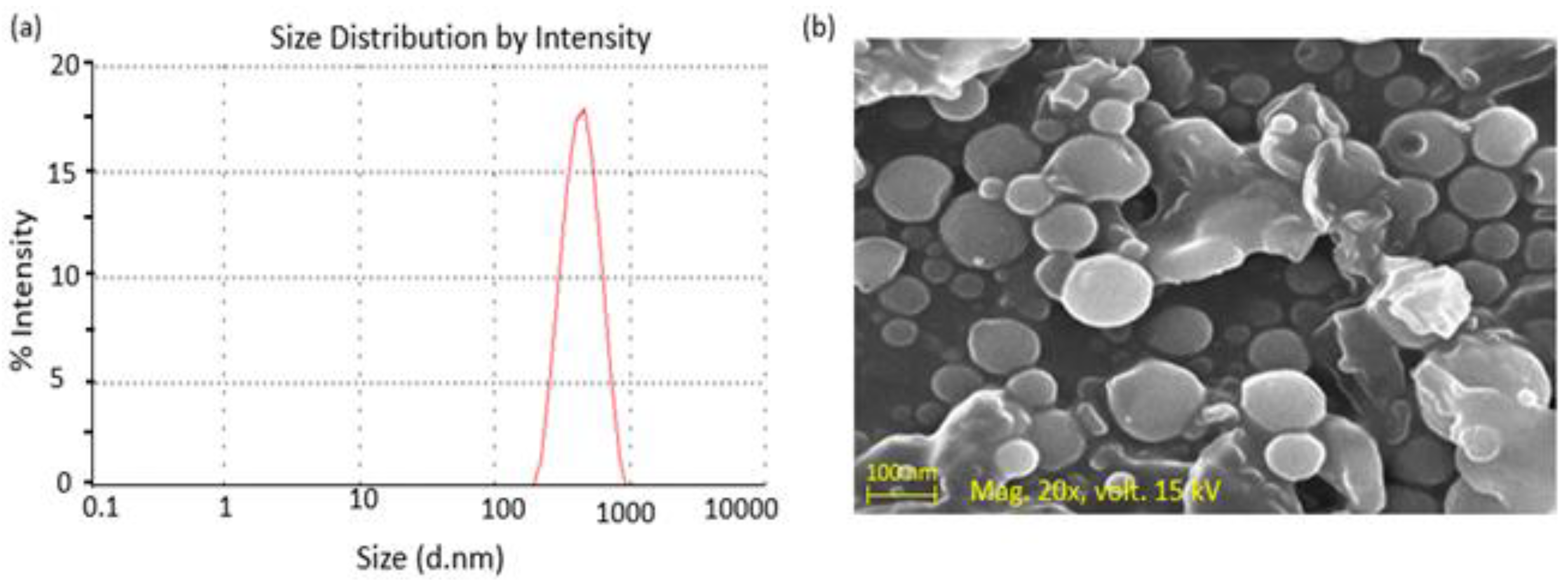 Polymers 14 00135 g002 Polymers 14 00135 g002