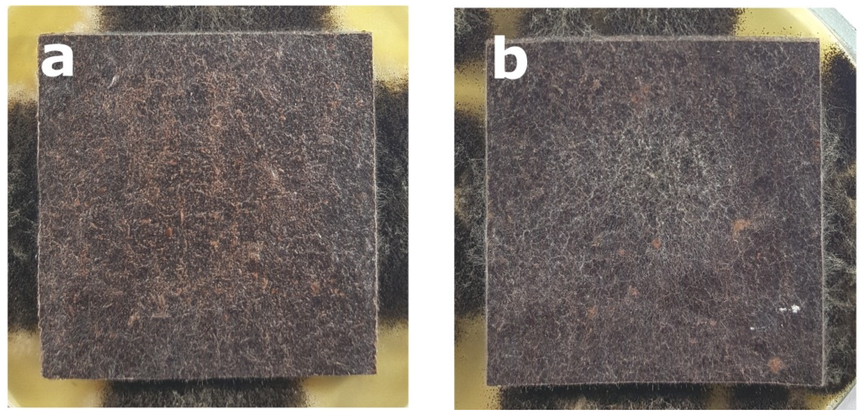 Polymers 14 00157 g003