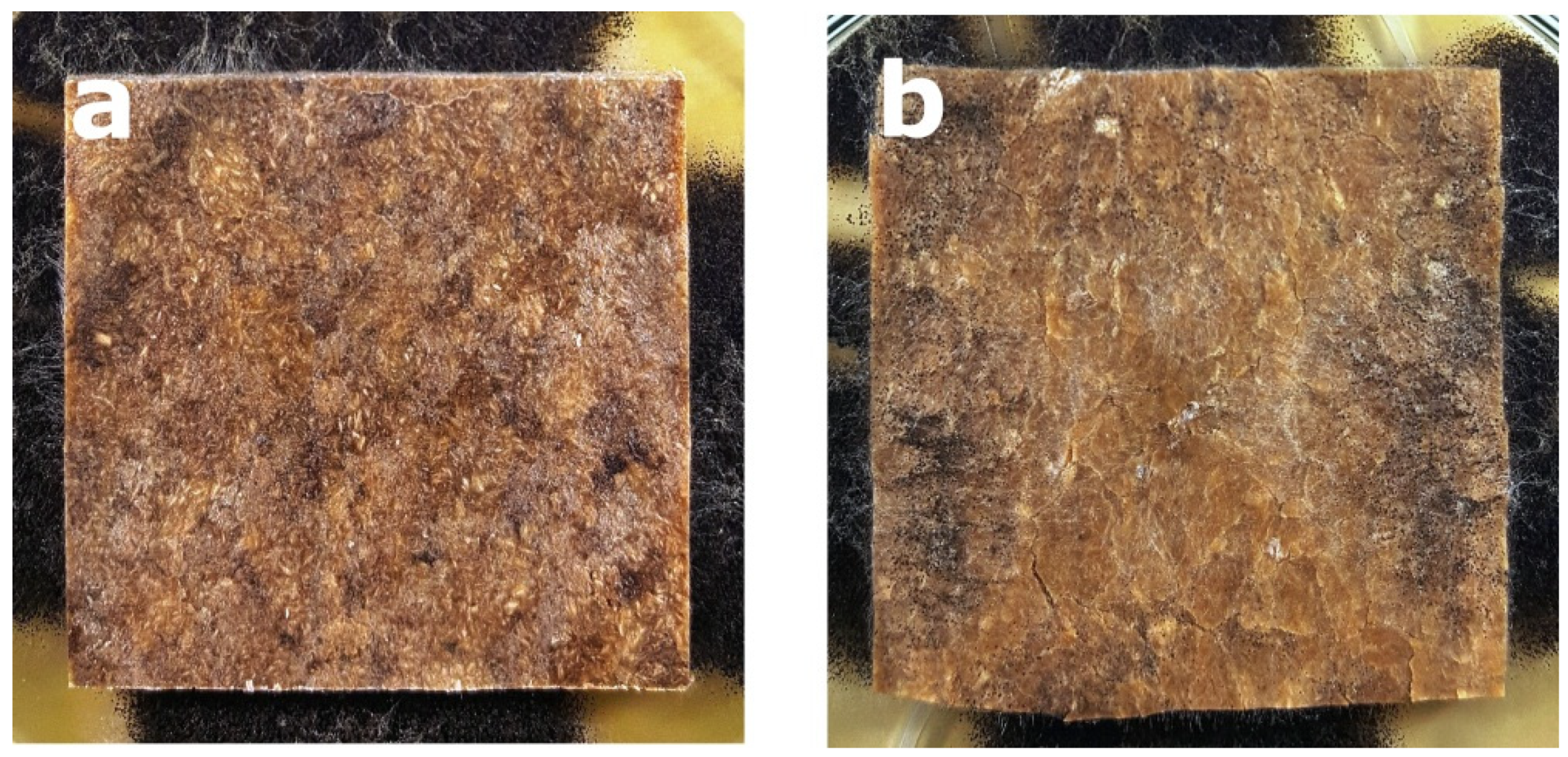 Polymers 14 00157 g005