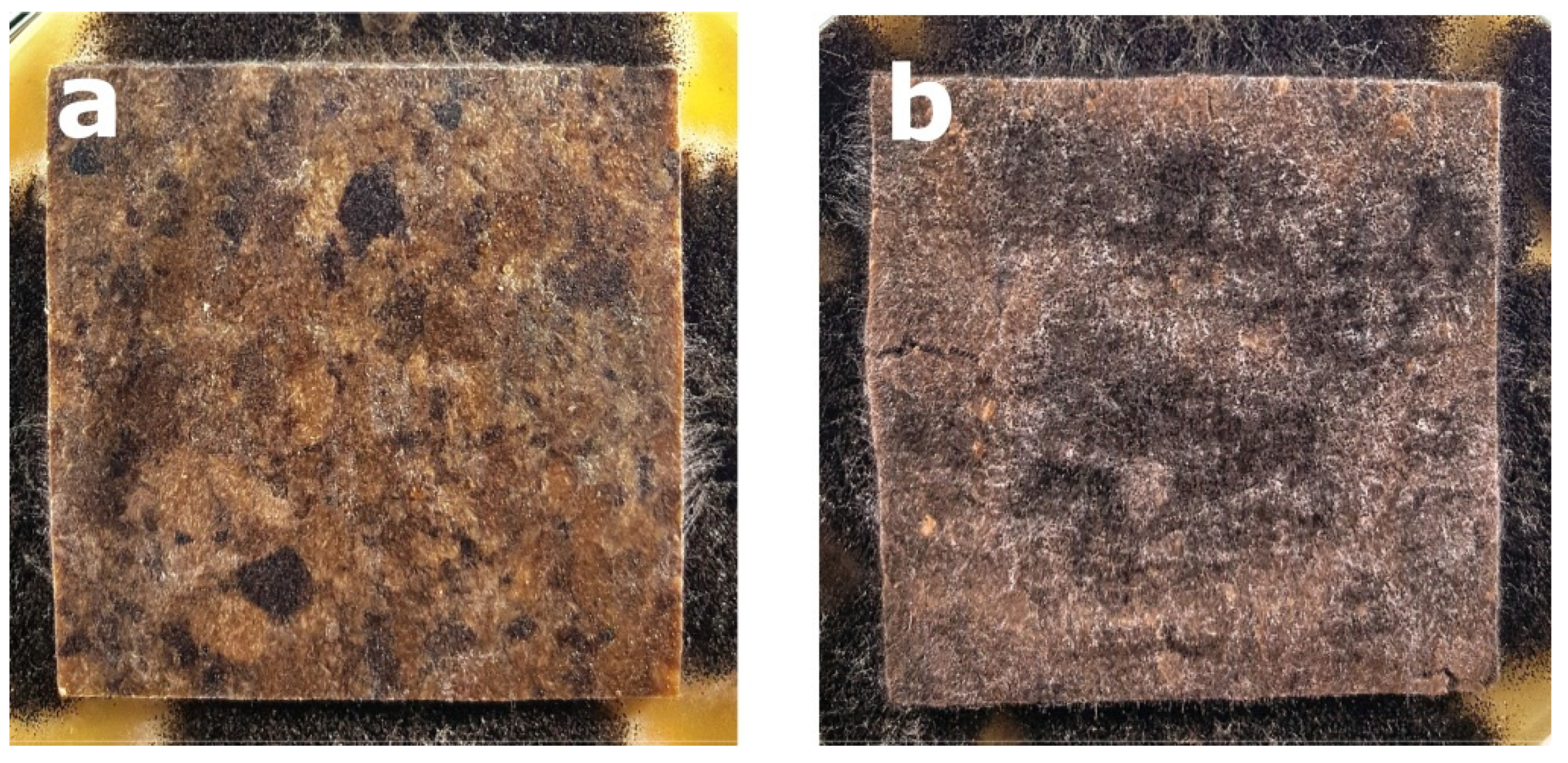 Polymers 14 00157 g006