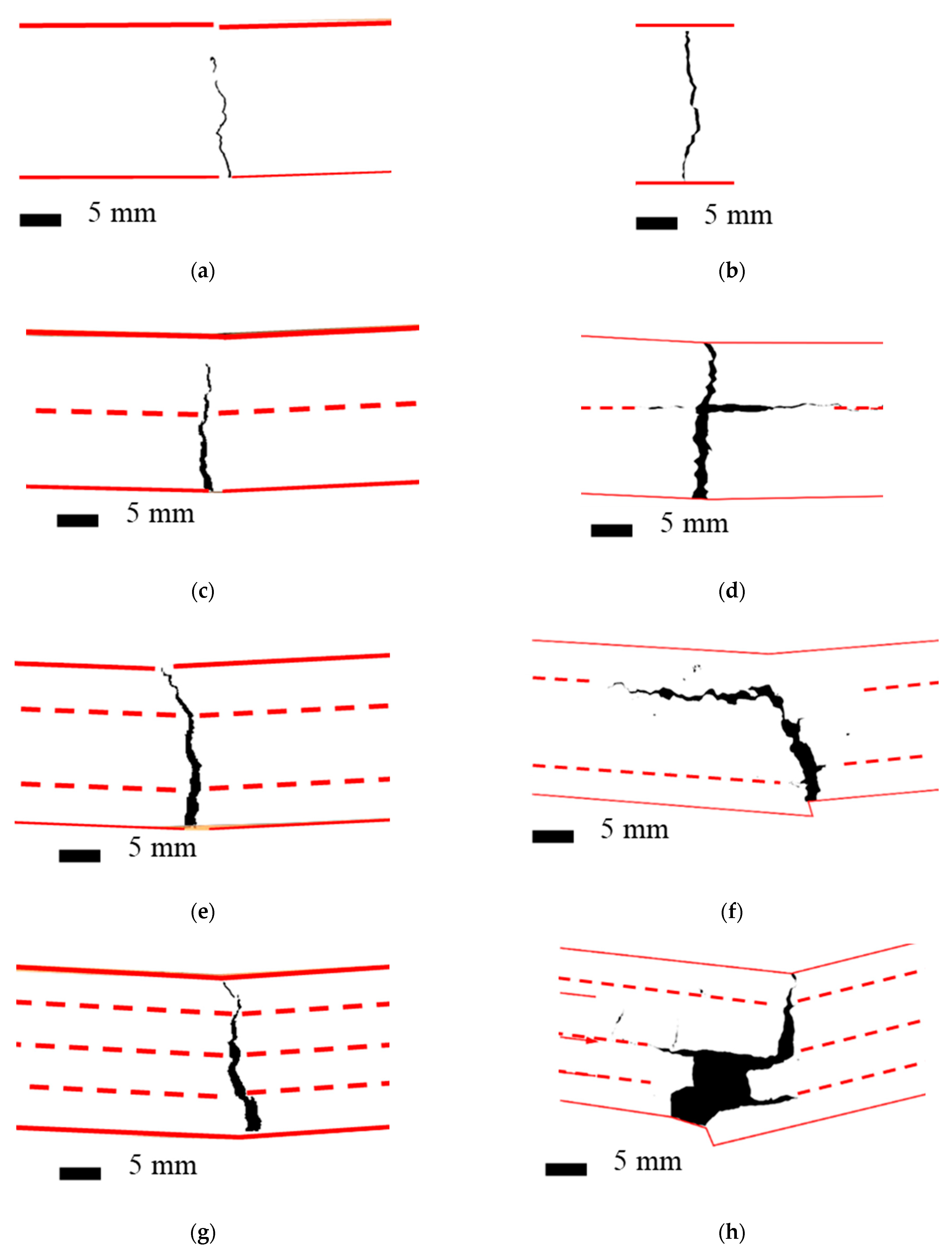 Polymers 14 00176 g007