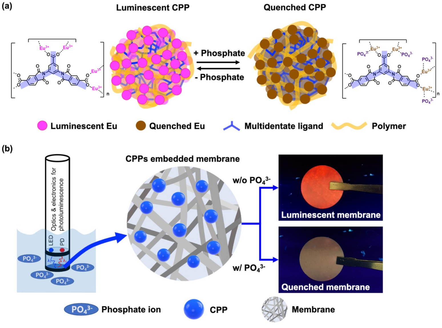 Polymers 14 00190 g001
