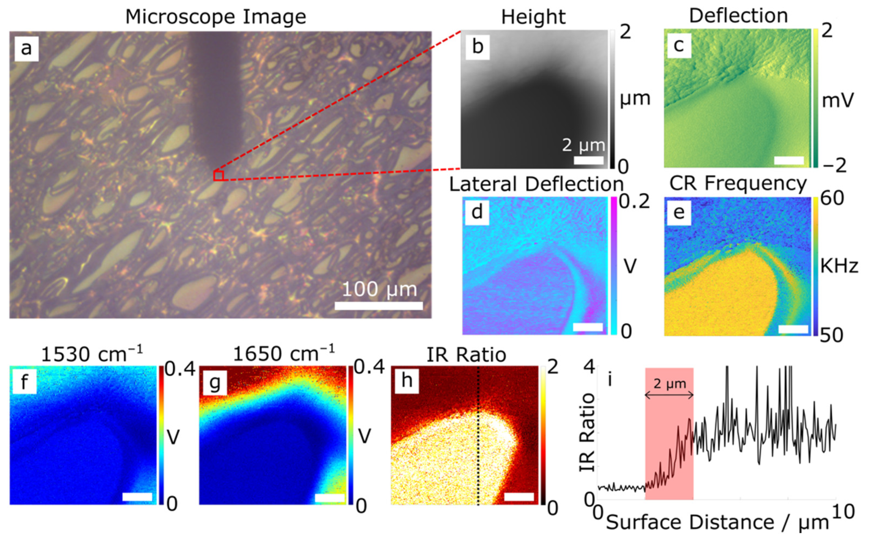 Polymers 14 00192 g001