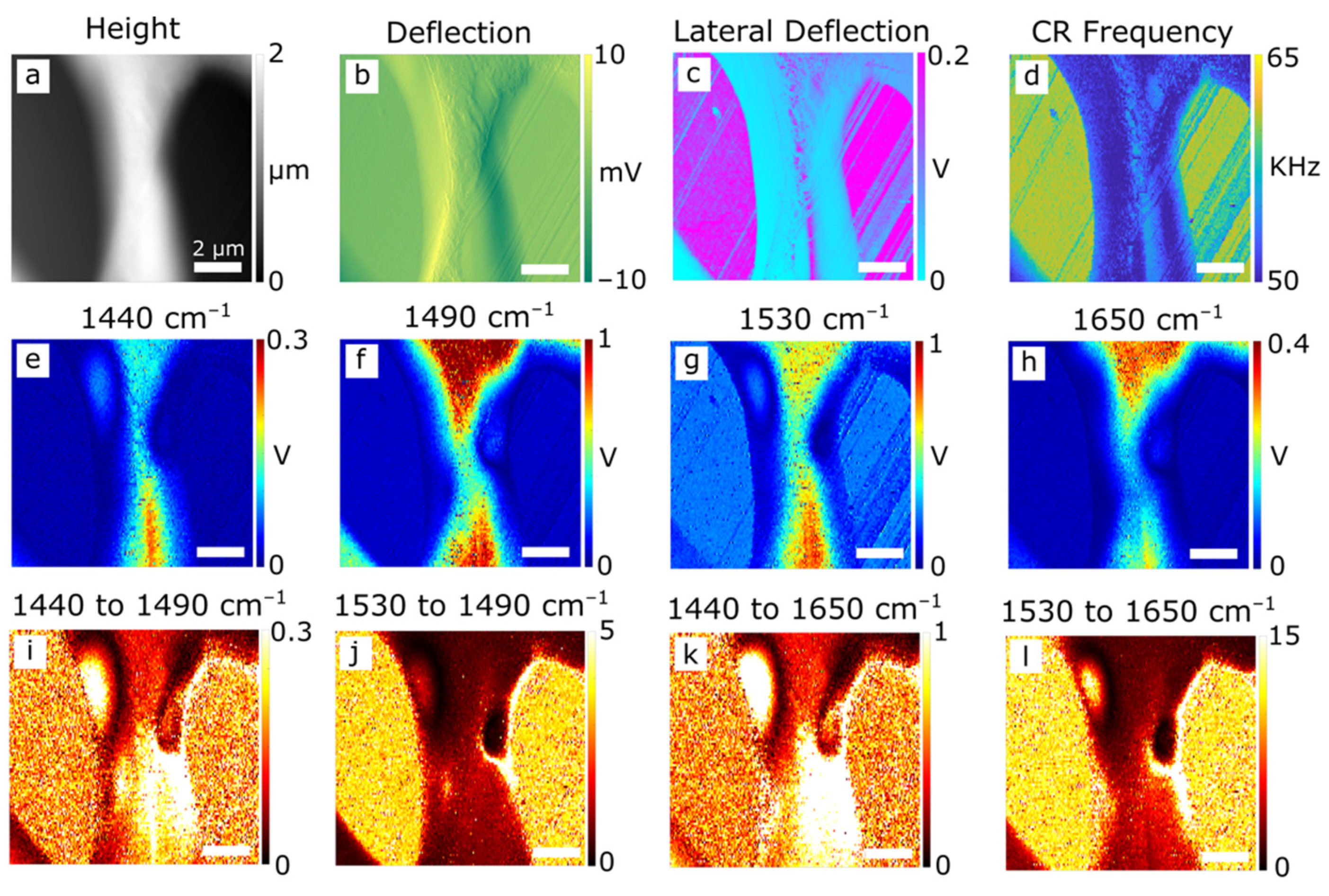 Polymers 14 00192 g002