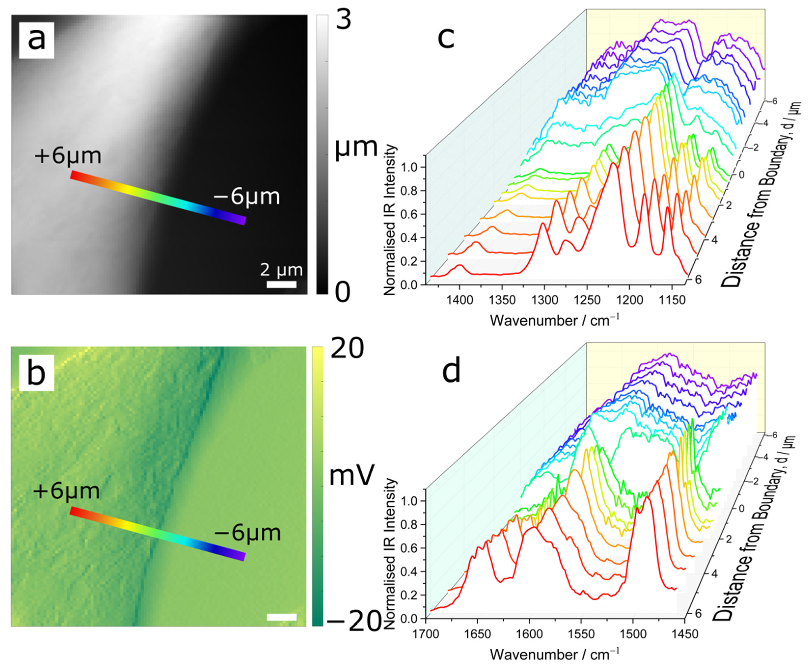 Polymers 14 00192 g003