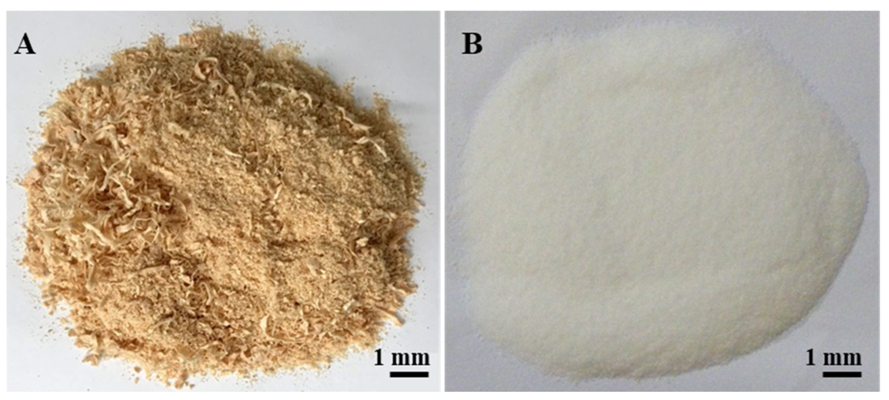 Polymers 14 00193 g001