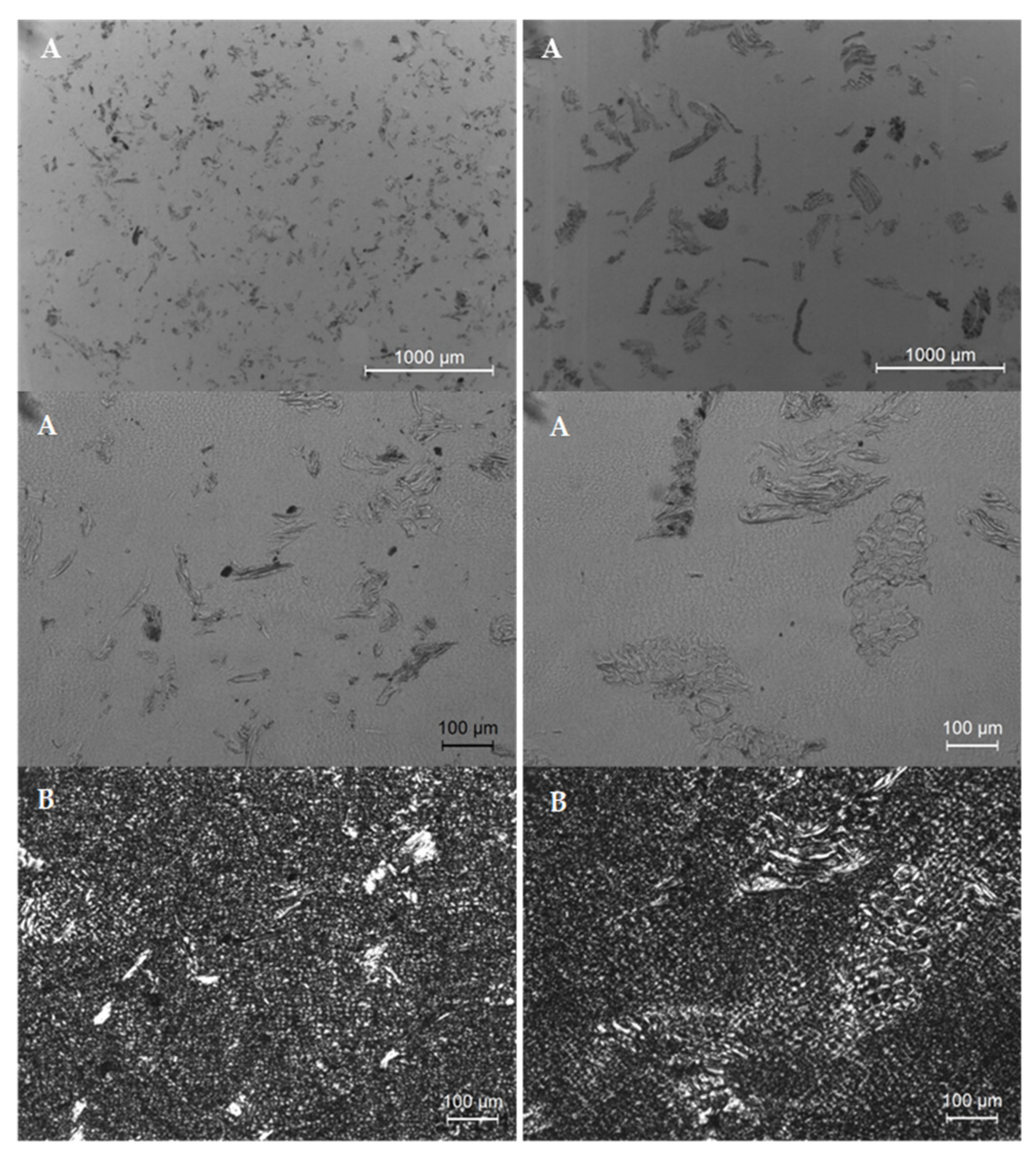 Polymers 14 00193 g008