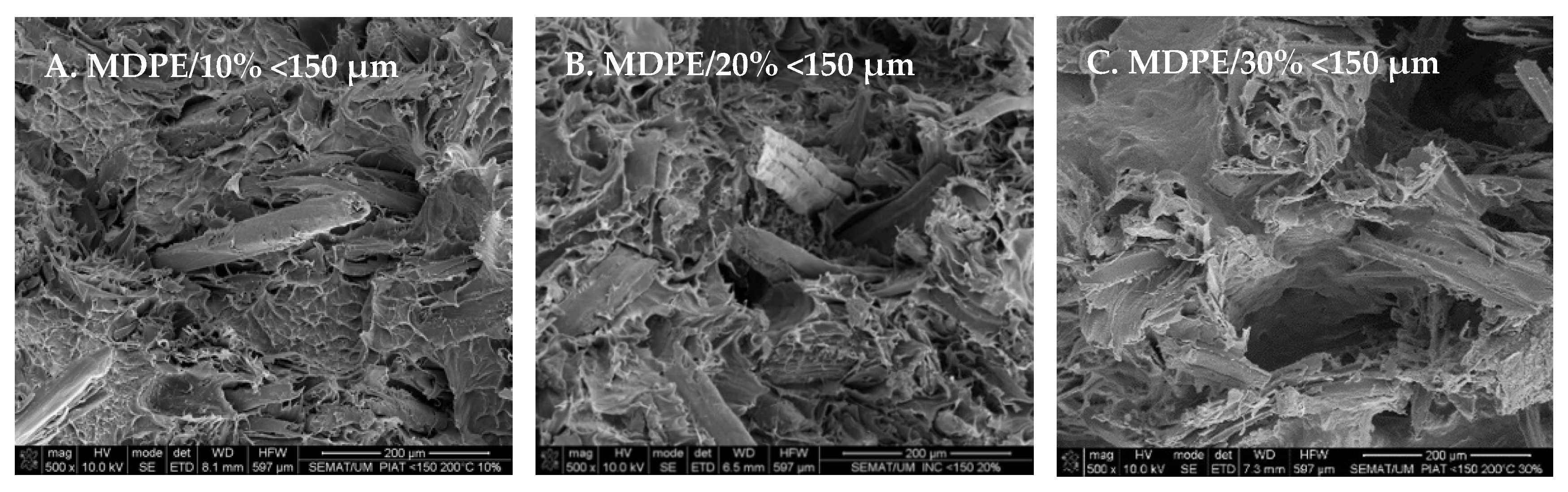 Polymers 14 00193 g010