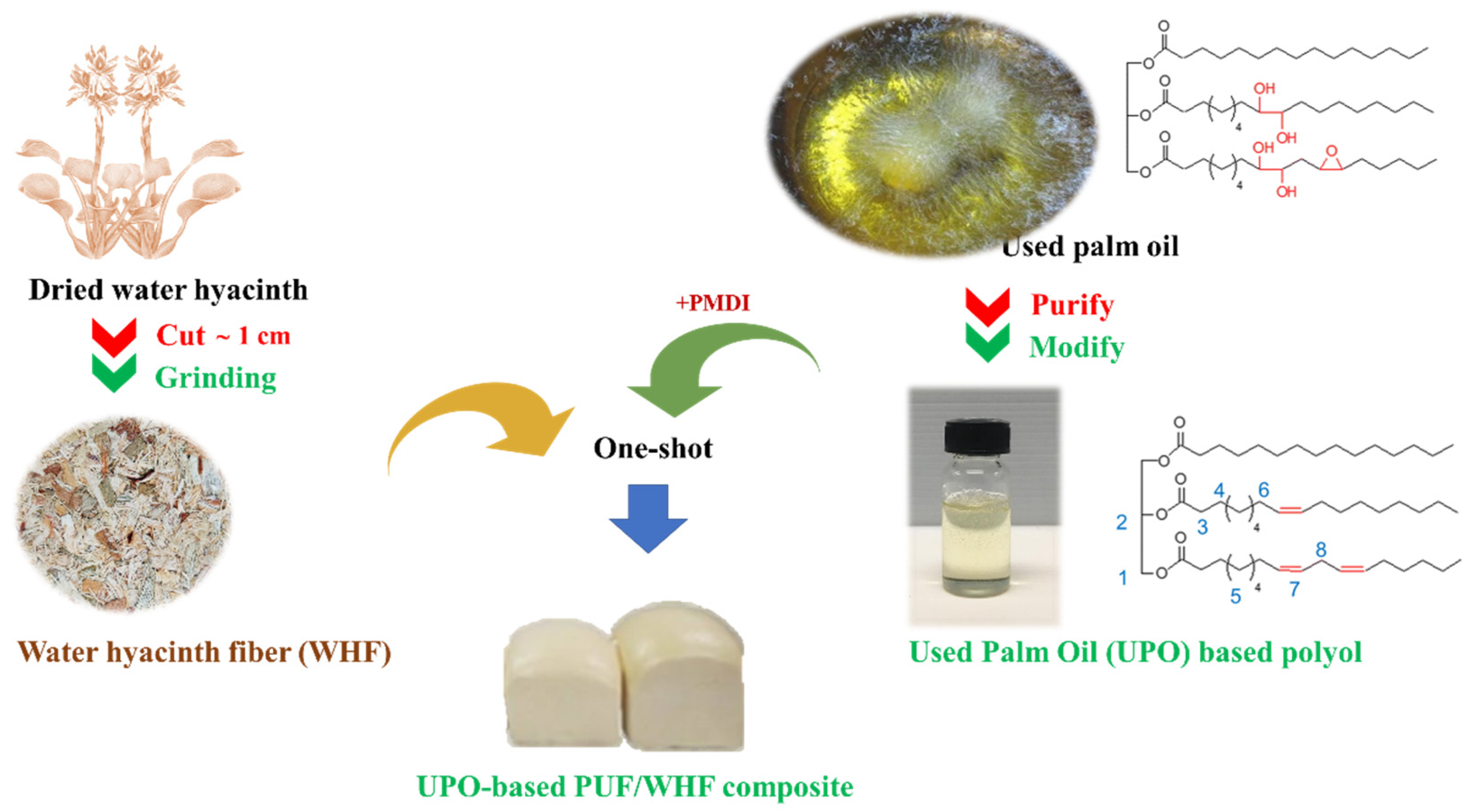 Polymers 14 00201 g001