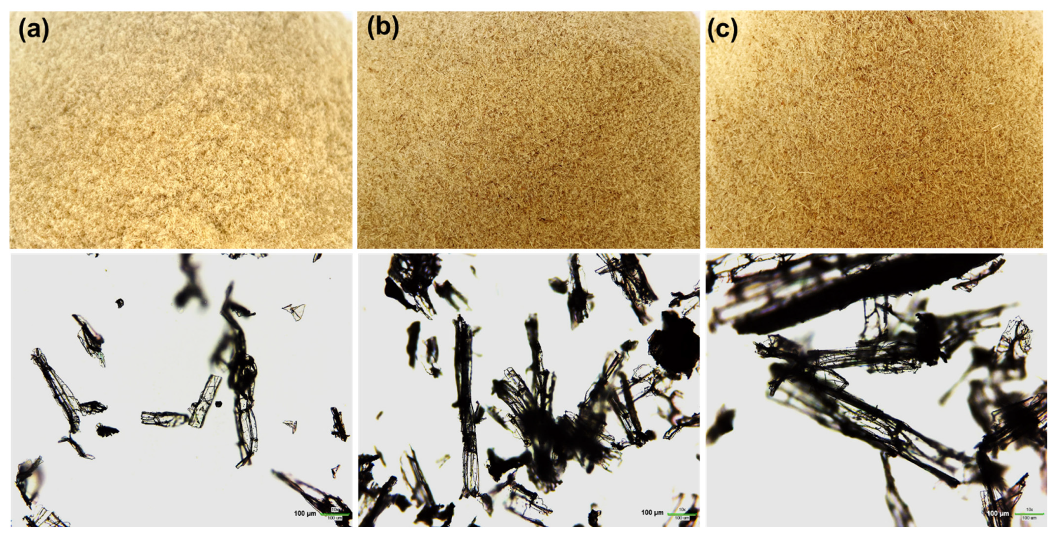 Polymers 14 00201 g002