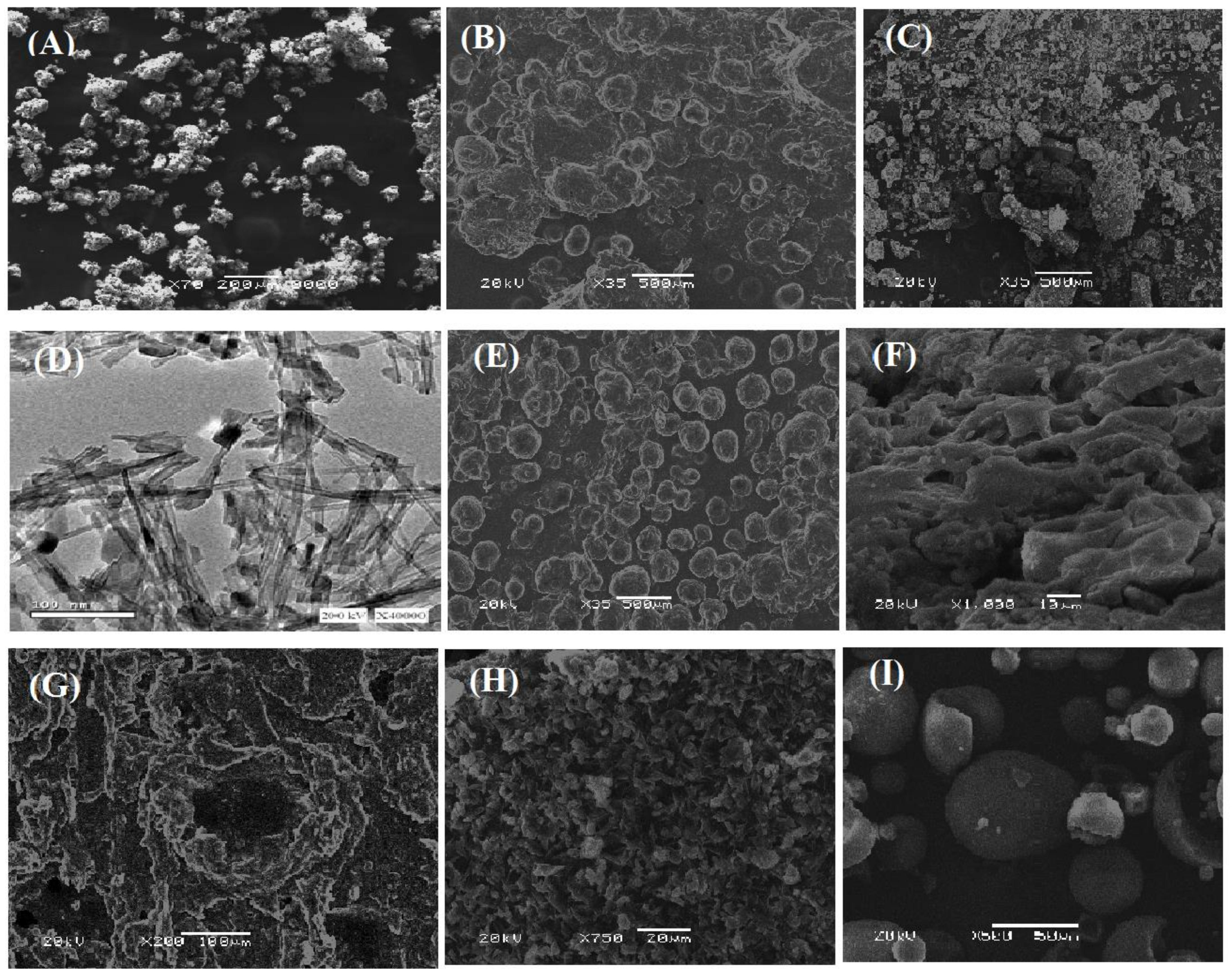 Polymers 14 00227 g006