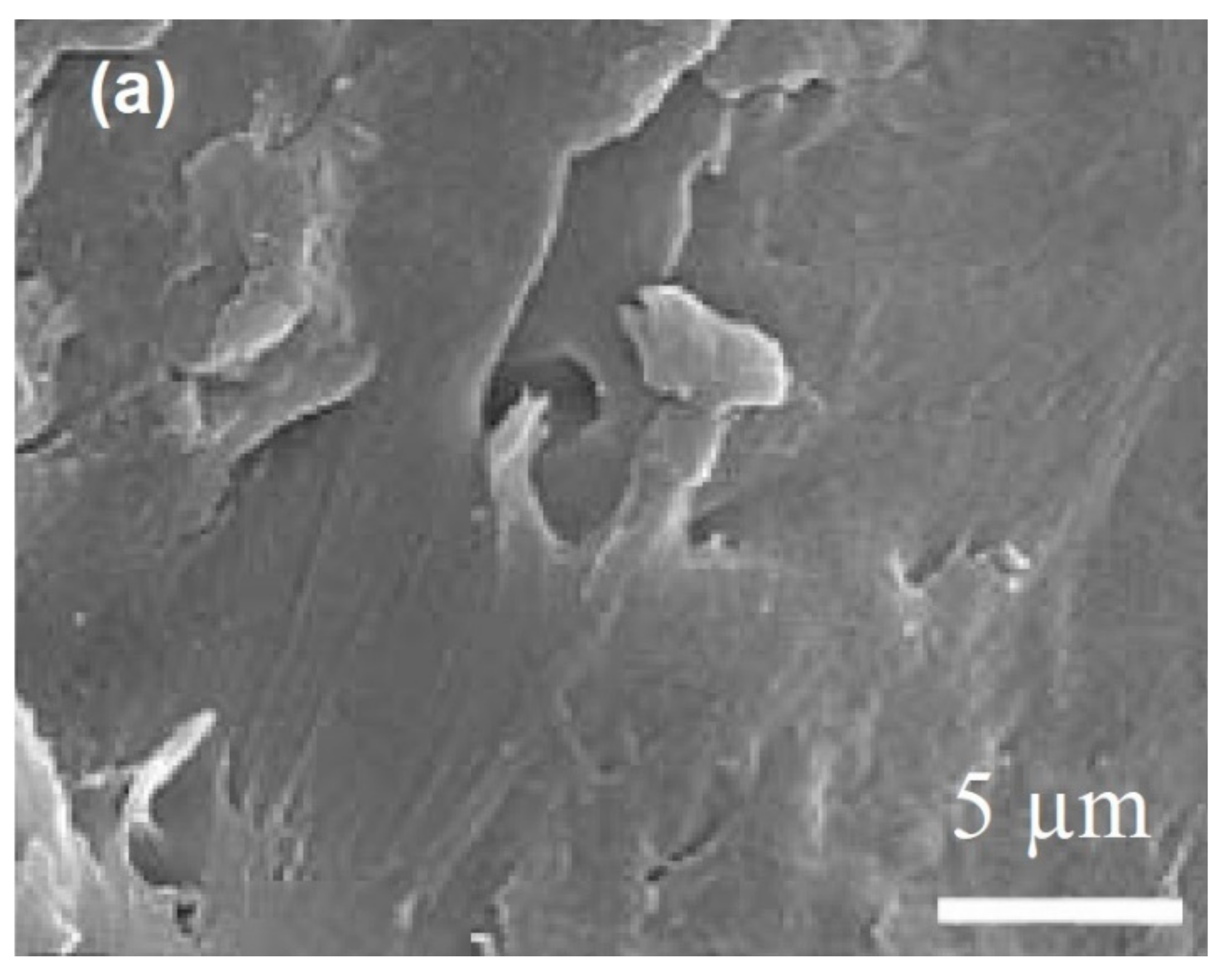 Polymers 14 00228 g003a