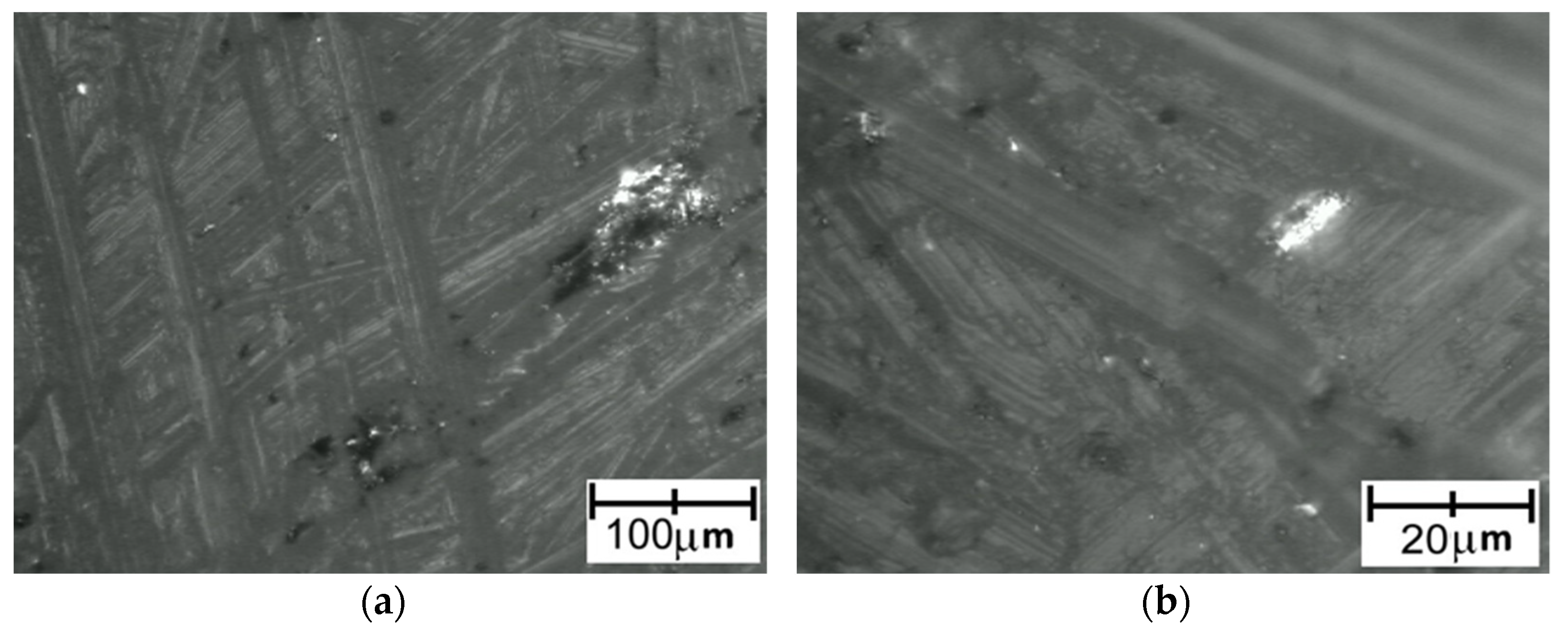 Polymers 14 00235 g020 Polymers 14 00235 g020