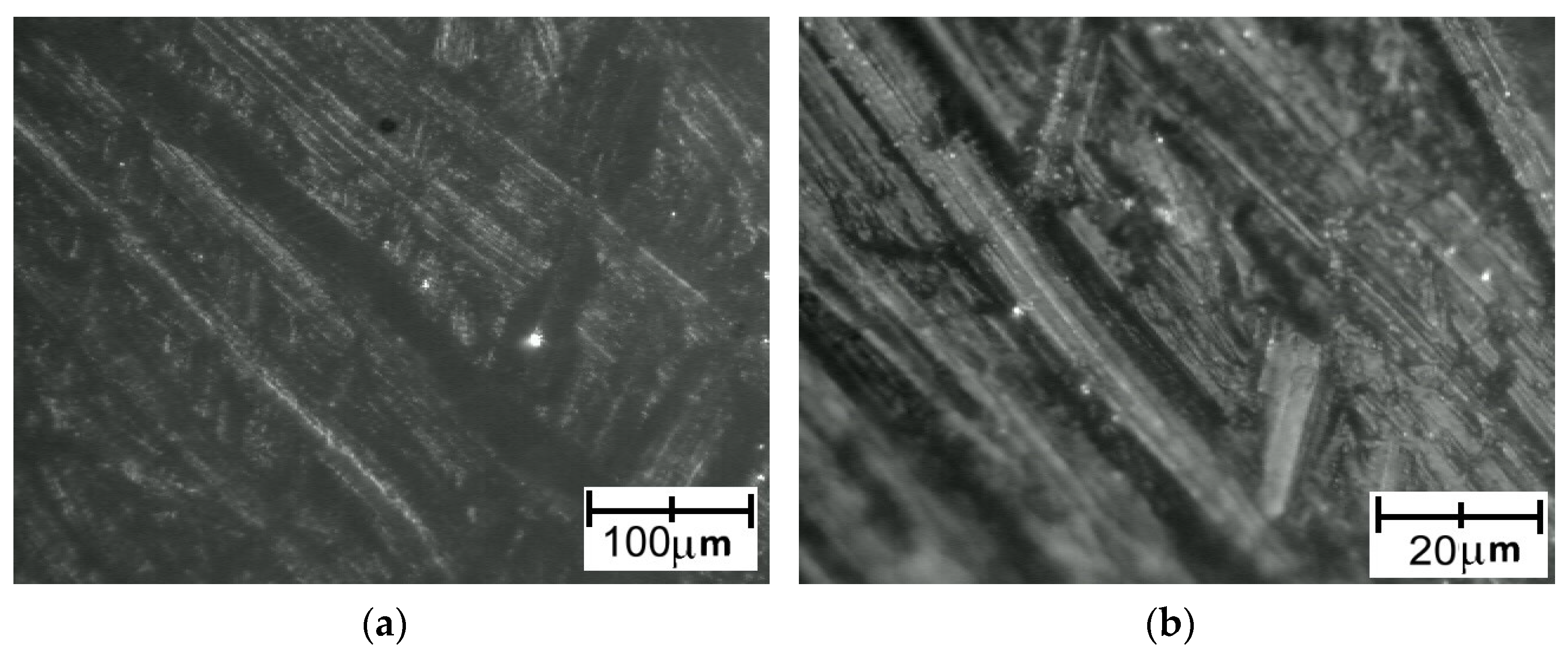 Polymers 14 00235 g023 Polymers 14 00235 g023