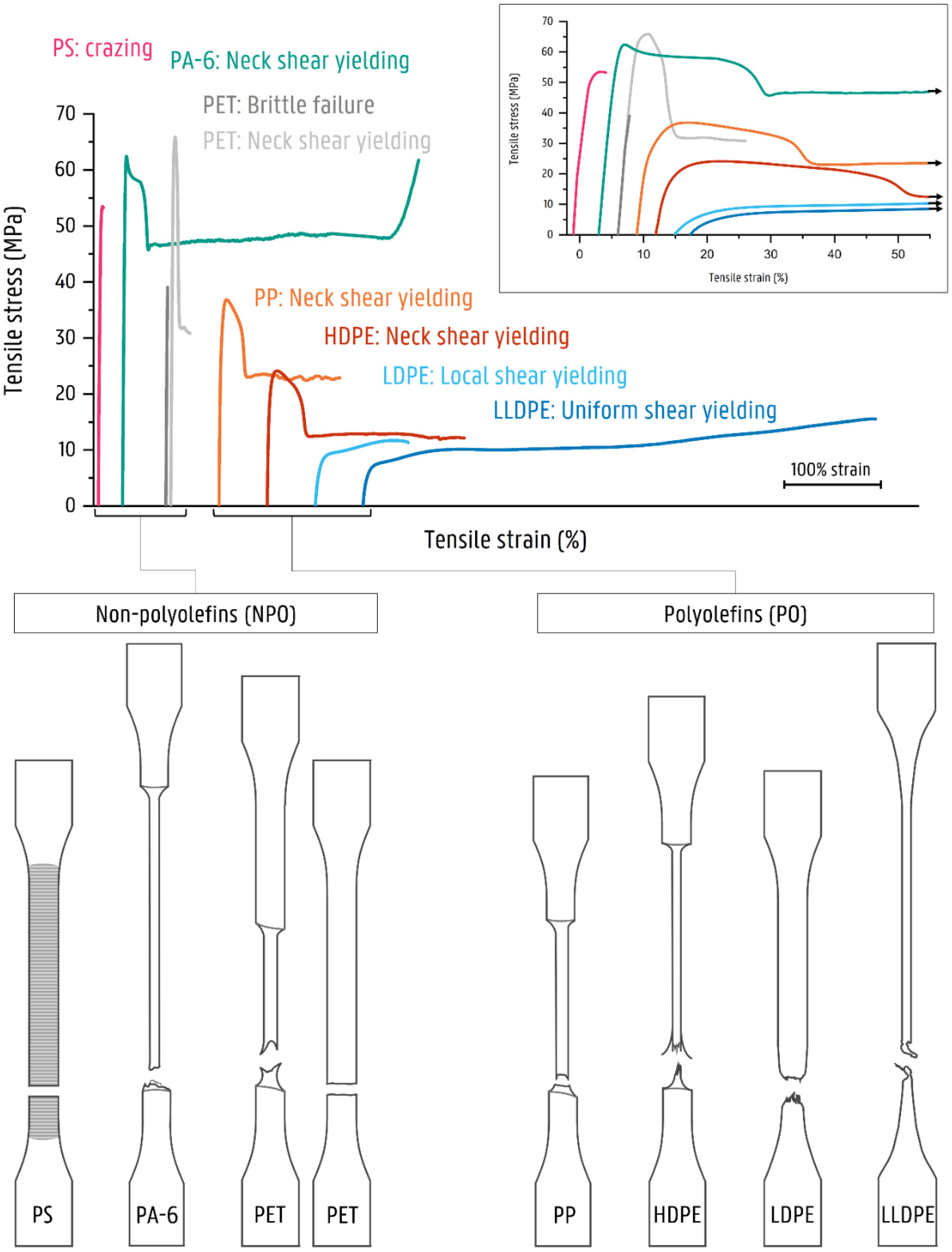 Polymers 14 00239 g003