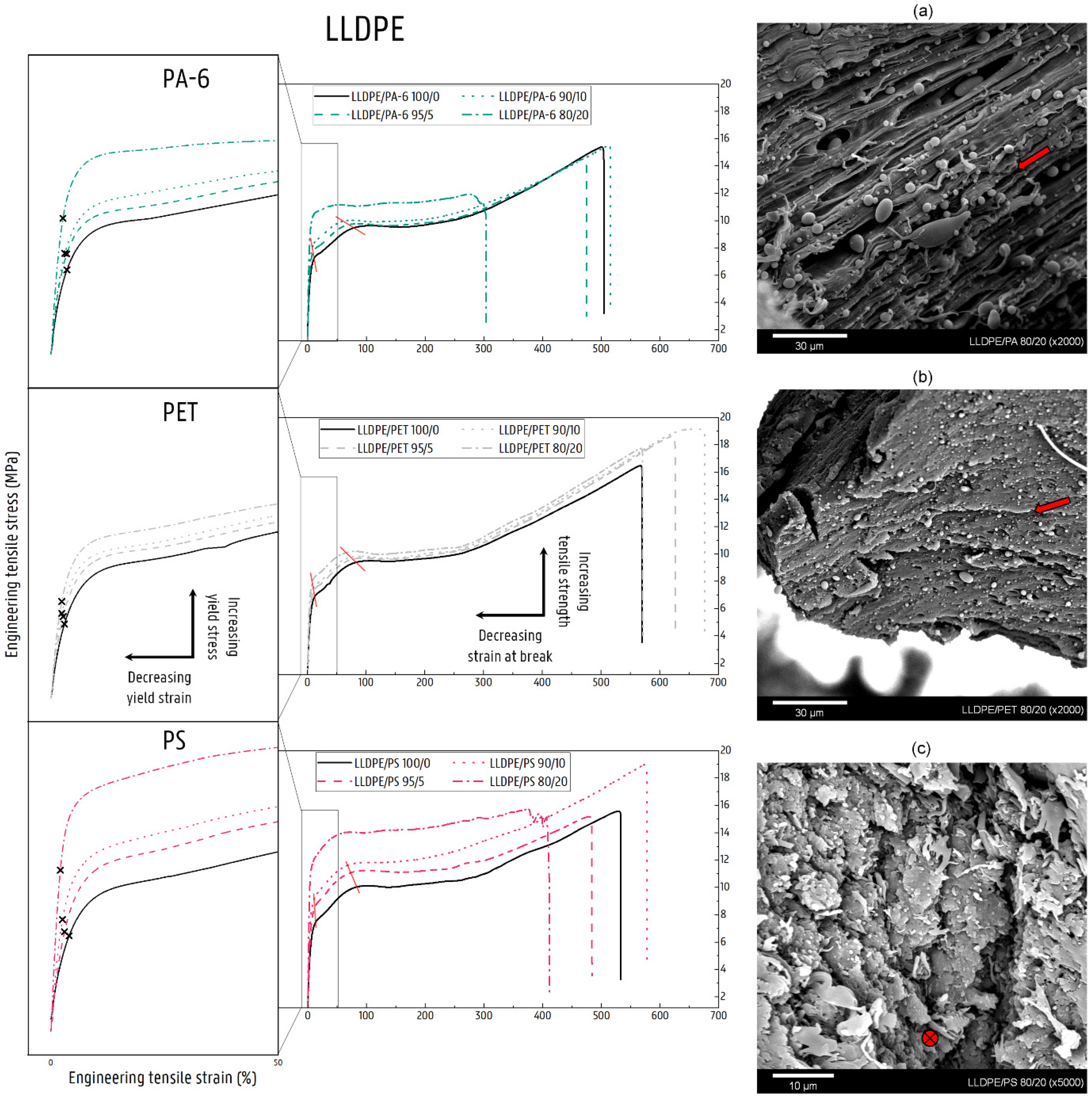 Polymers 14 00239 g008