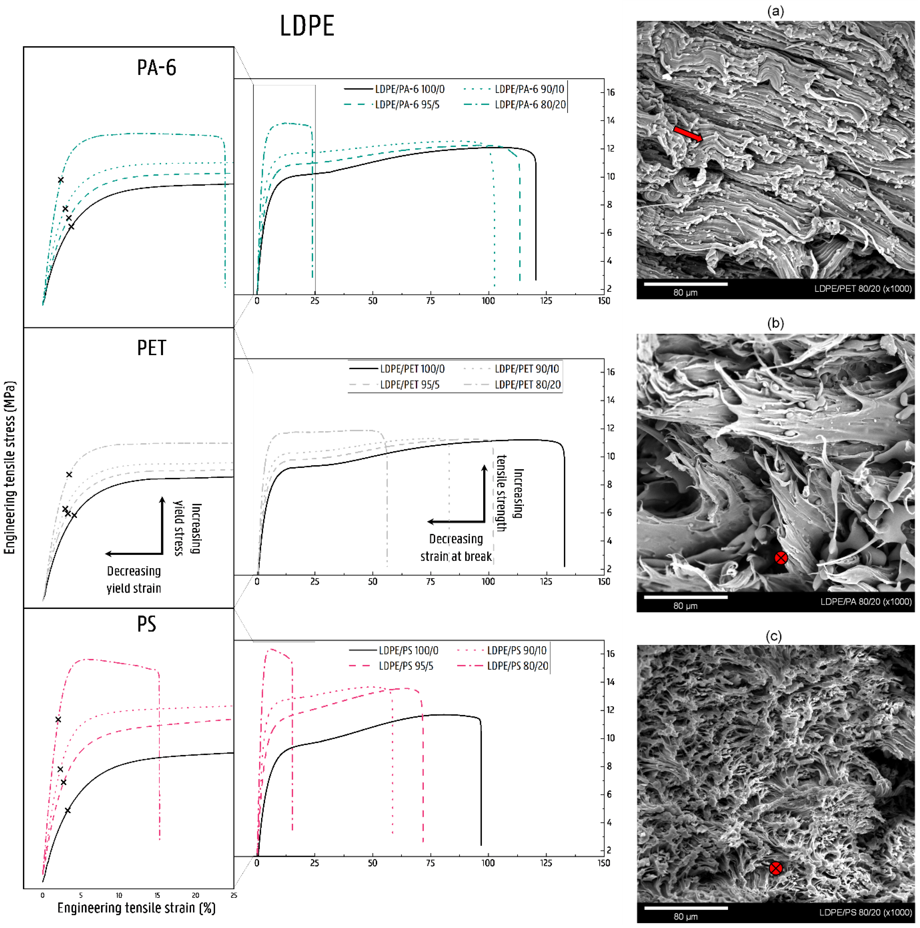 Polymers 14 00239 g009
