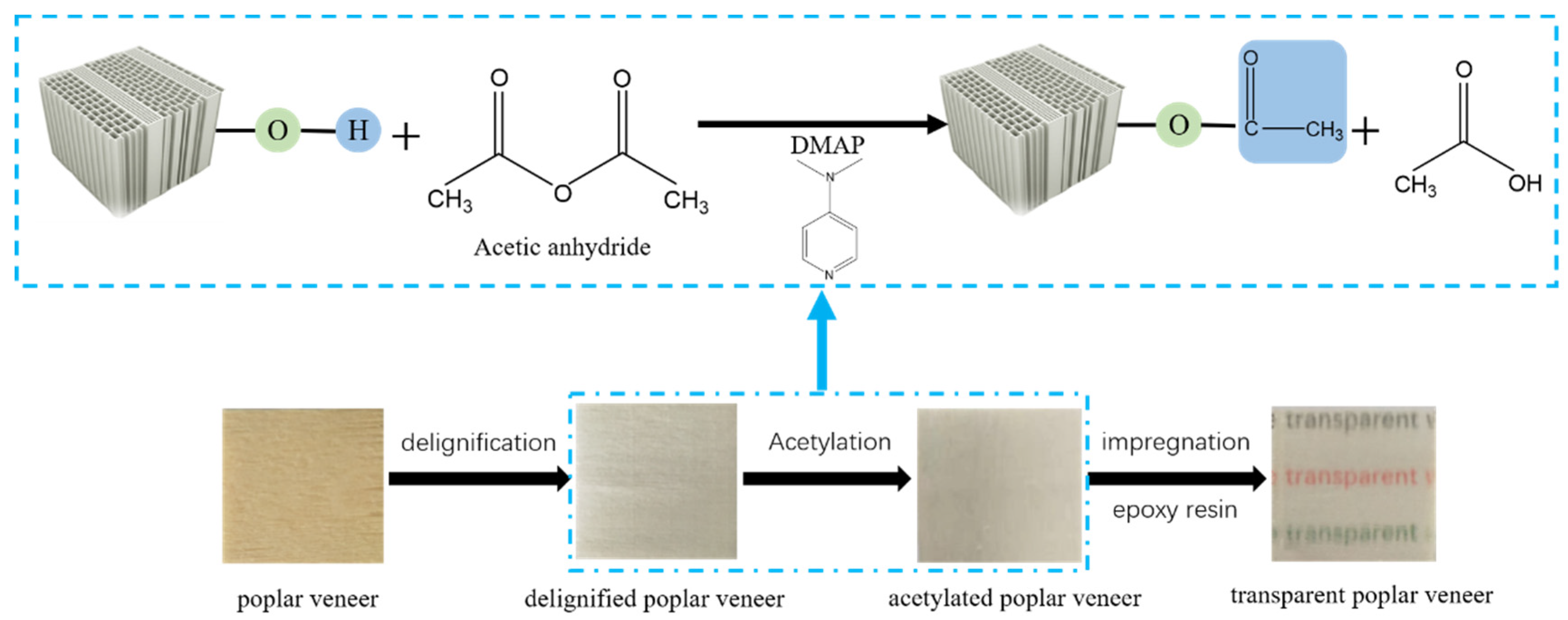 Polymers 14 00257 g001
