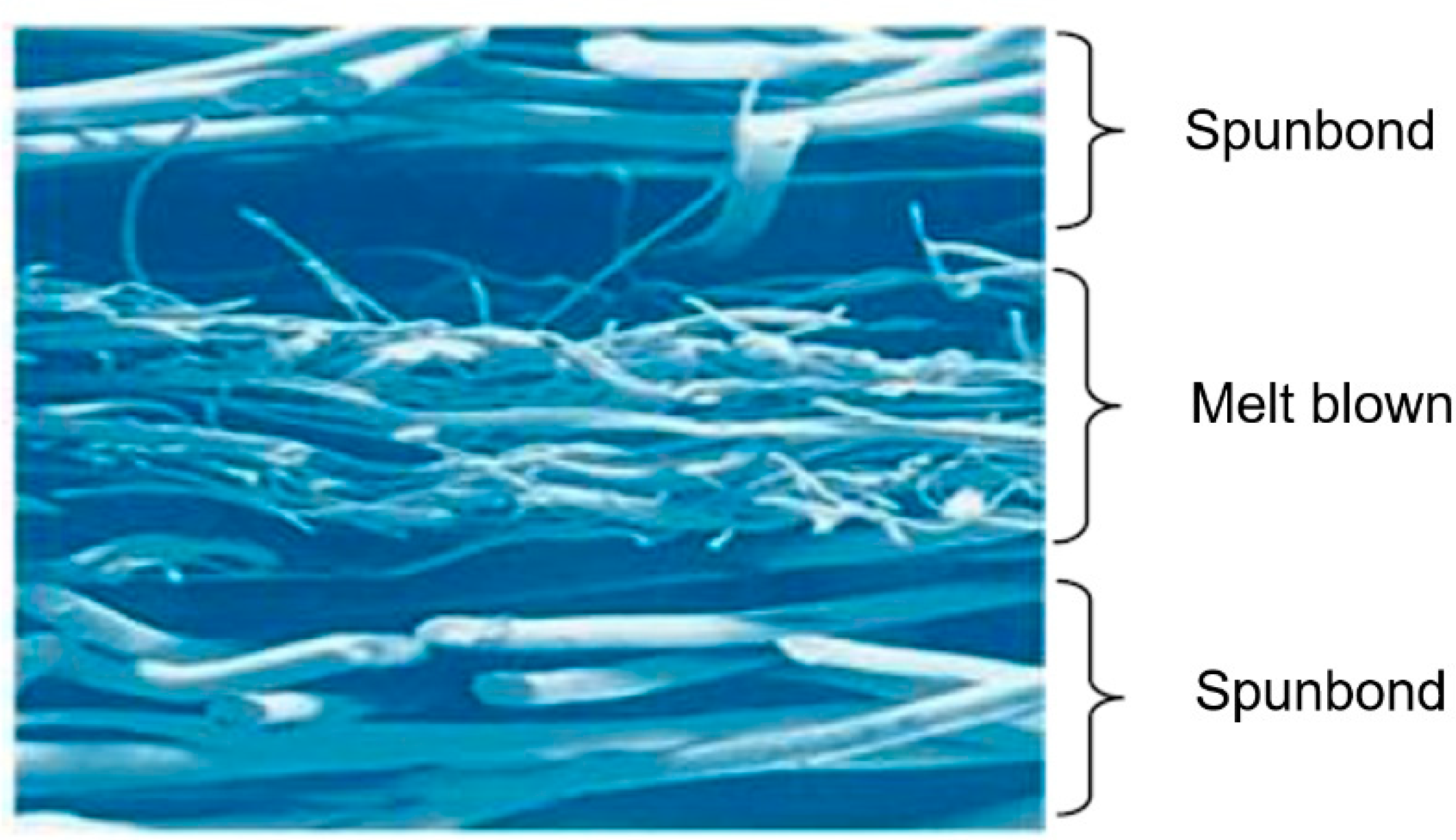 Polymers 14 00291 g002