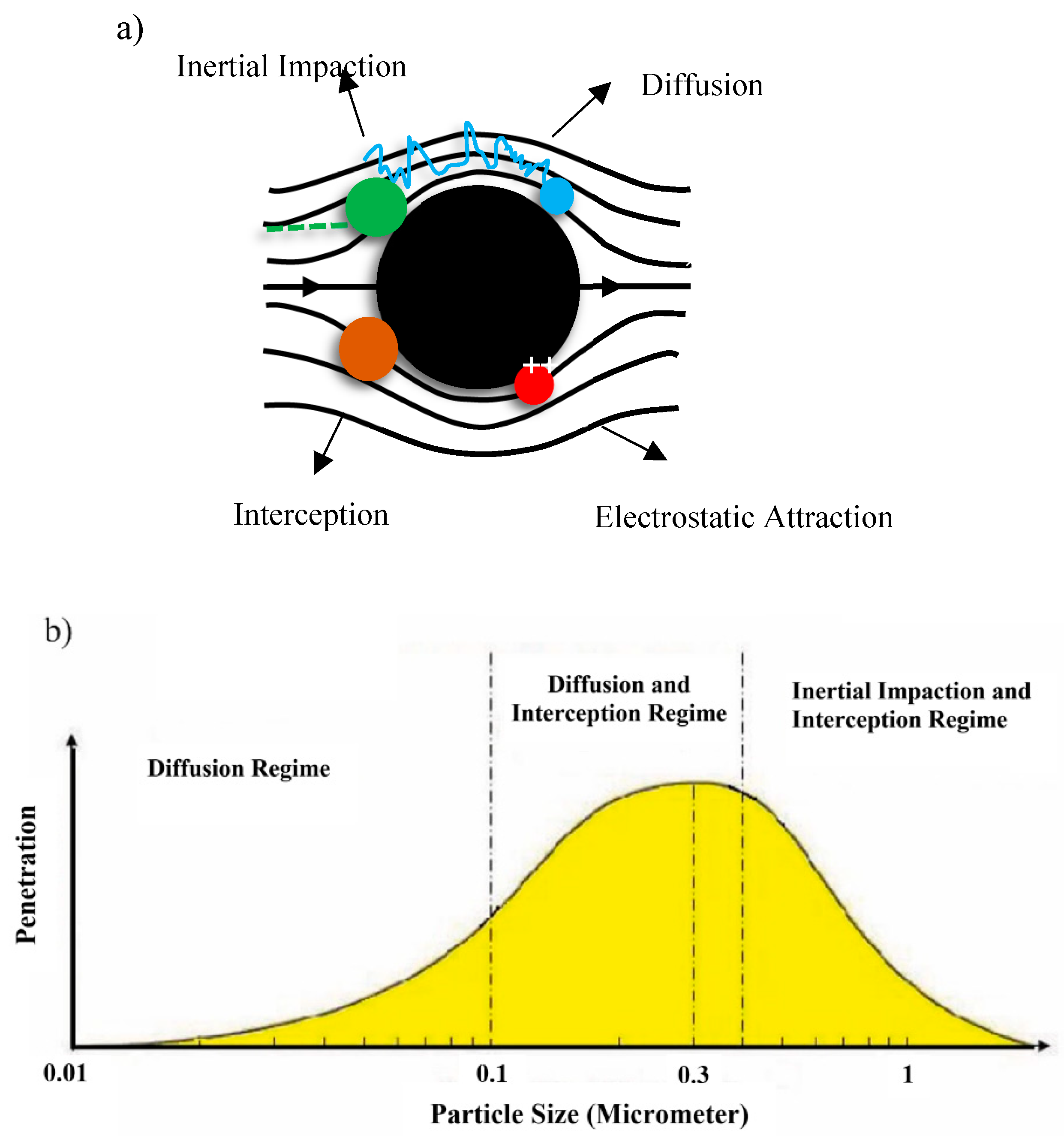 Polymers 14 00291 g012
