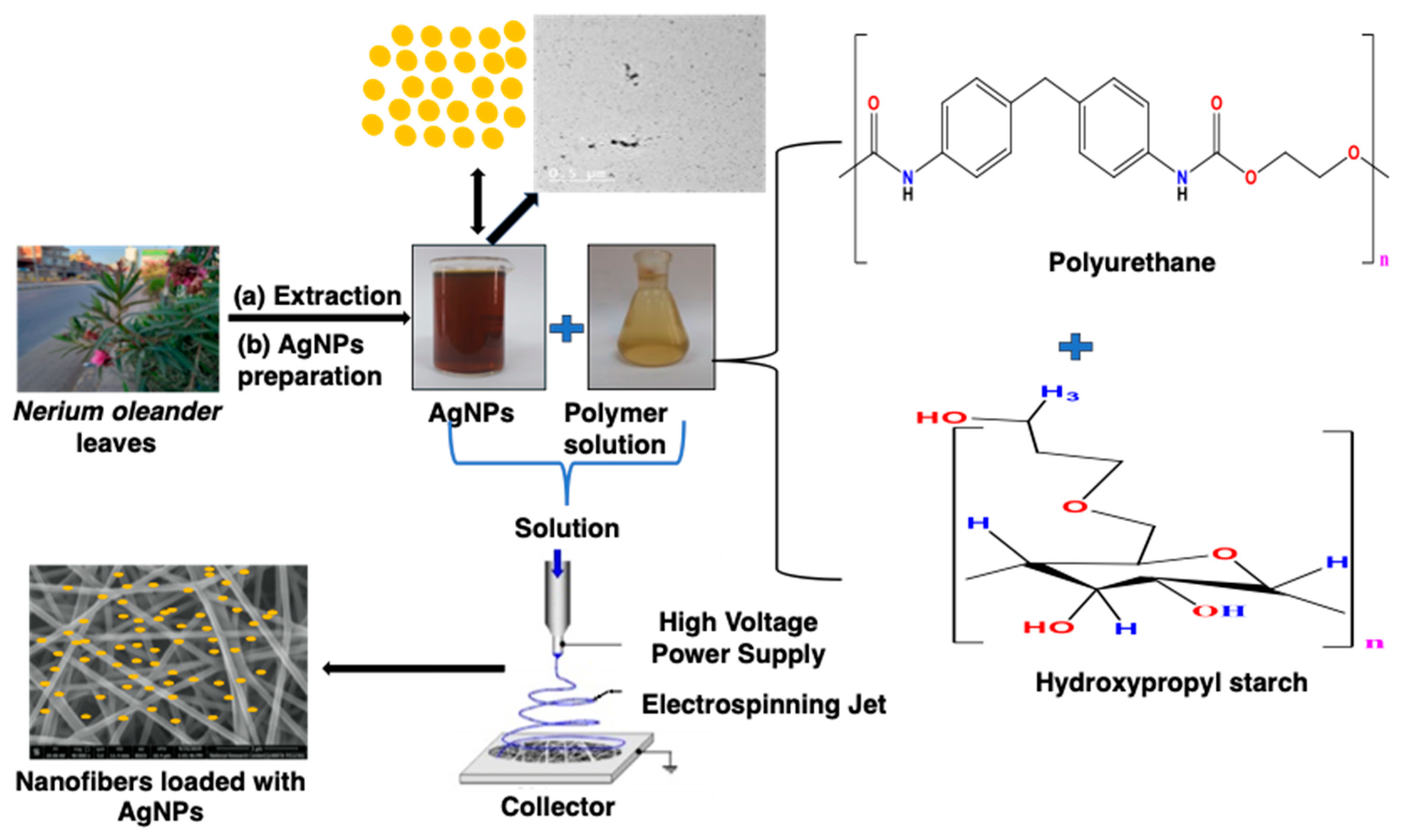Polymers 14 00318 sch001