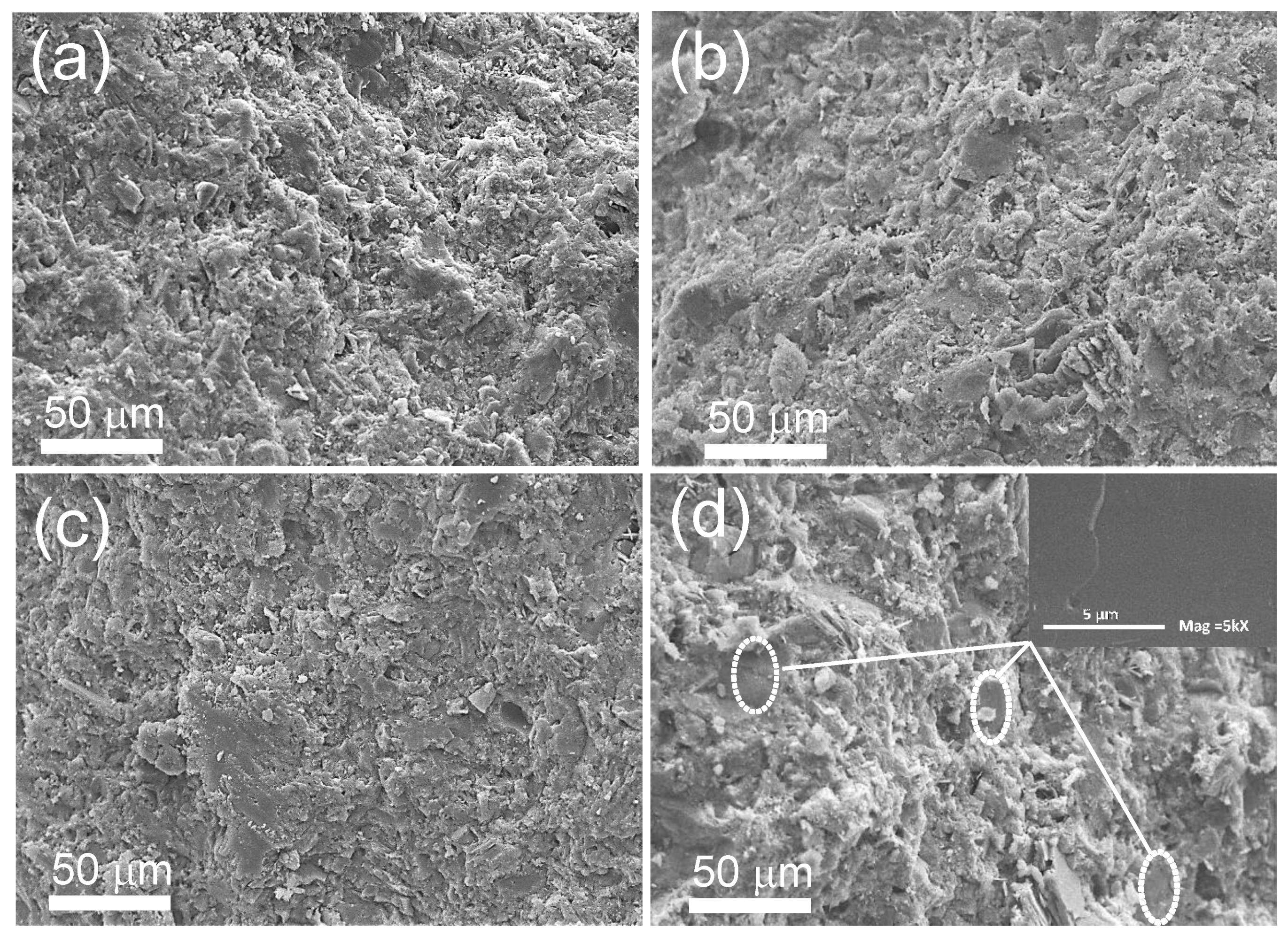 Polymers 14 00320 g002