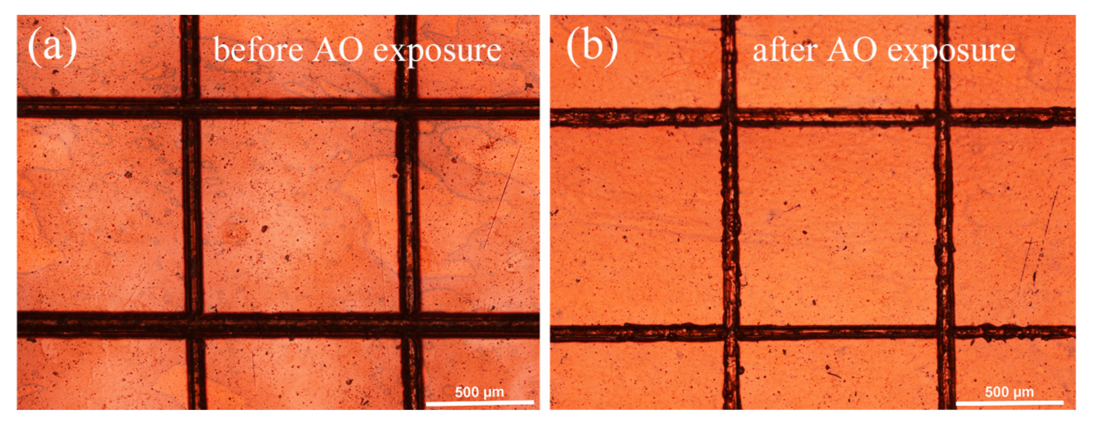 Polymers 14 00322 g004