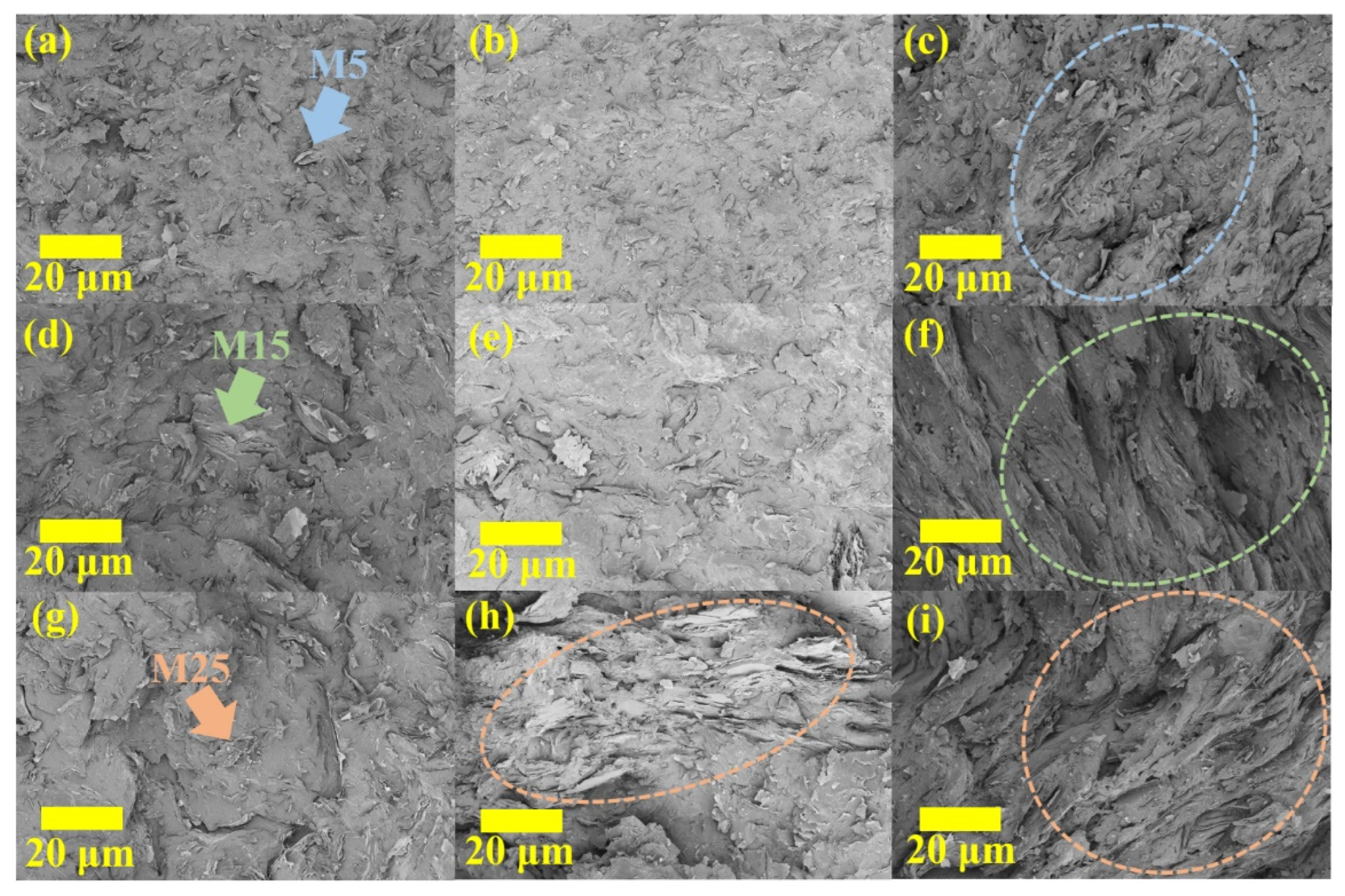 Polymers 14 00323 g003