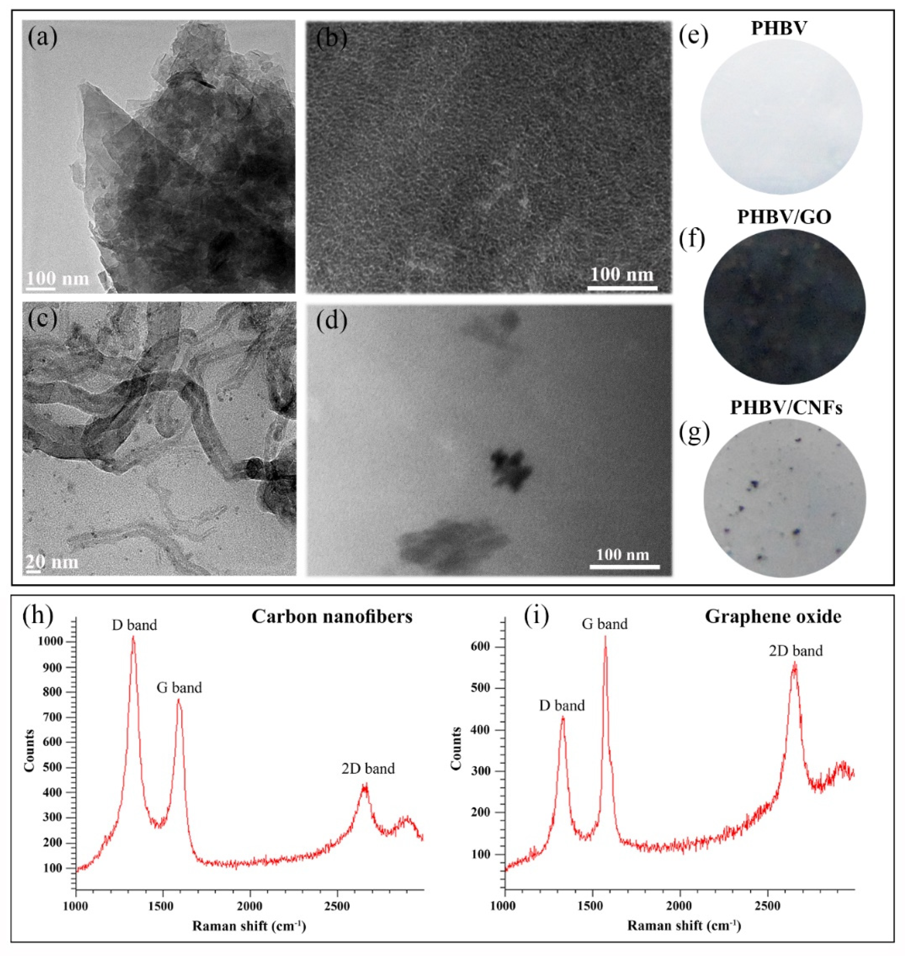 Polymers 14 00348 g001
