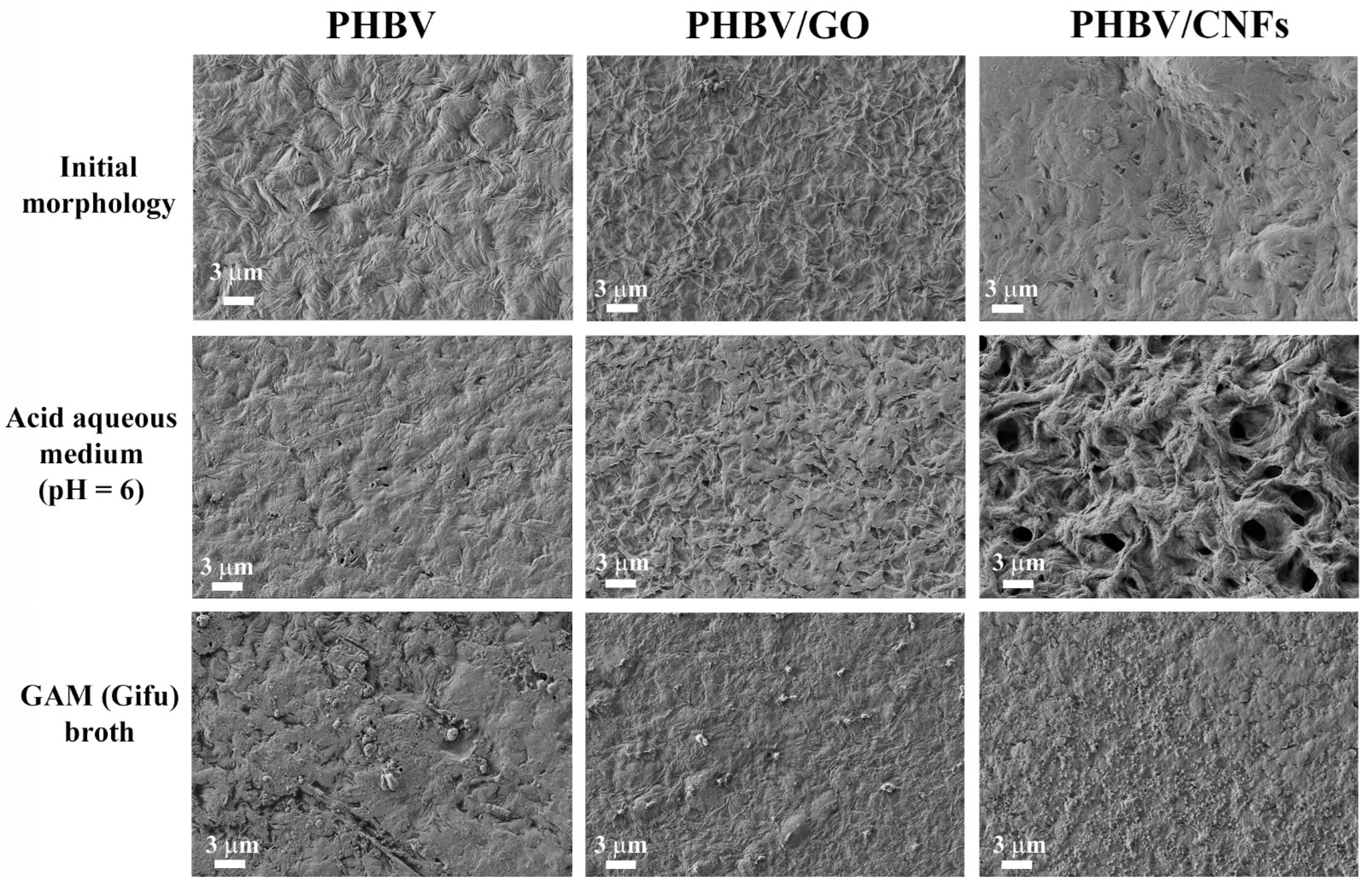 Polymers 14 00348 g004