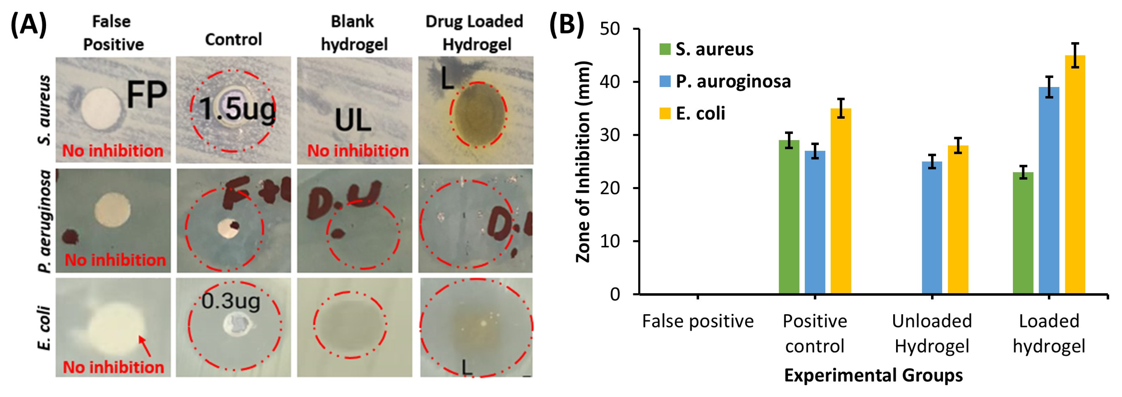 Polymers 14 00376 g005