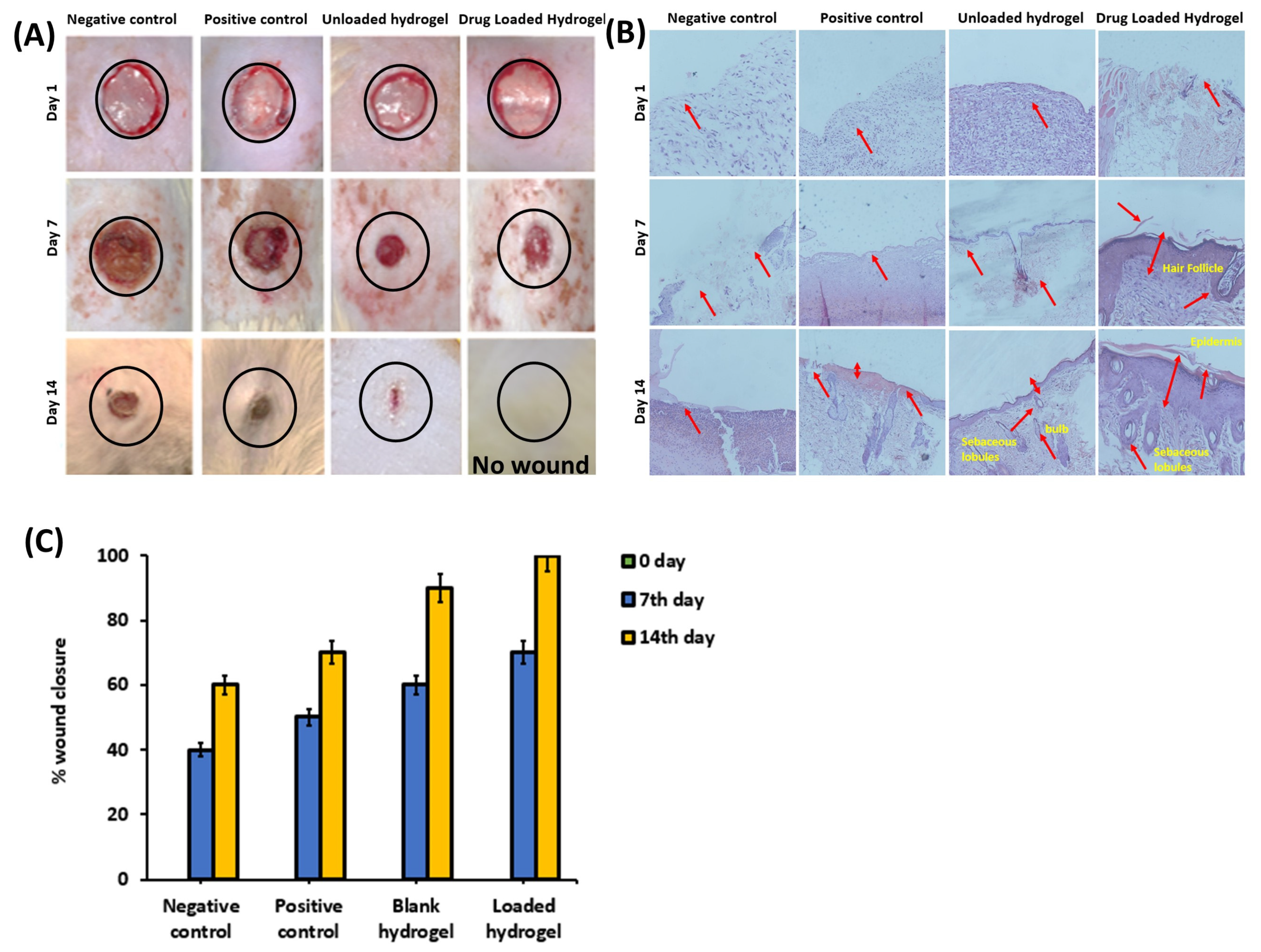 Polymers 14 00376 g006
