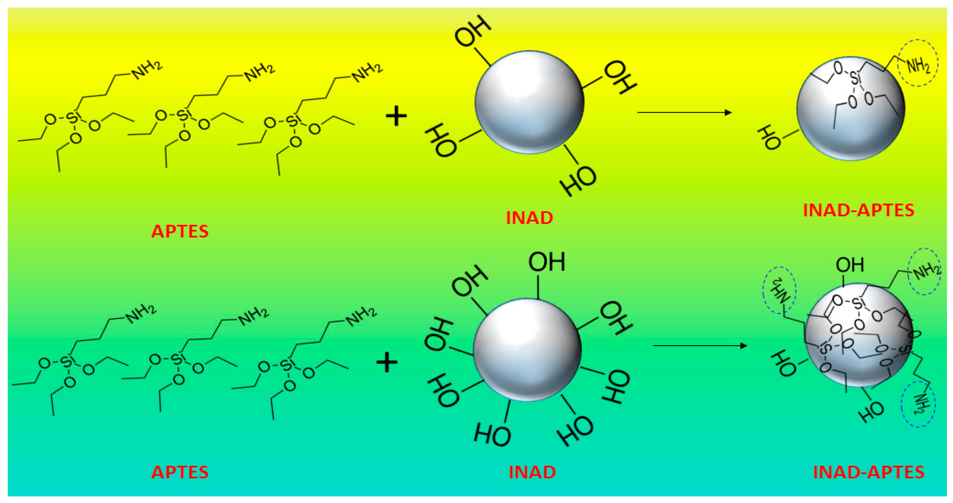 Polymers 14 00378 sch004