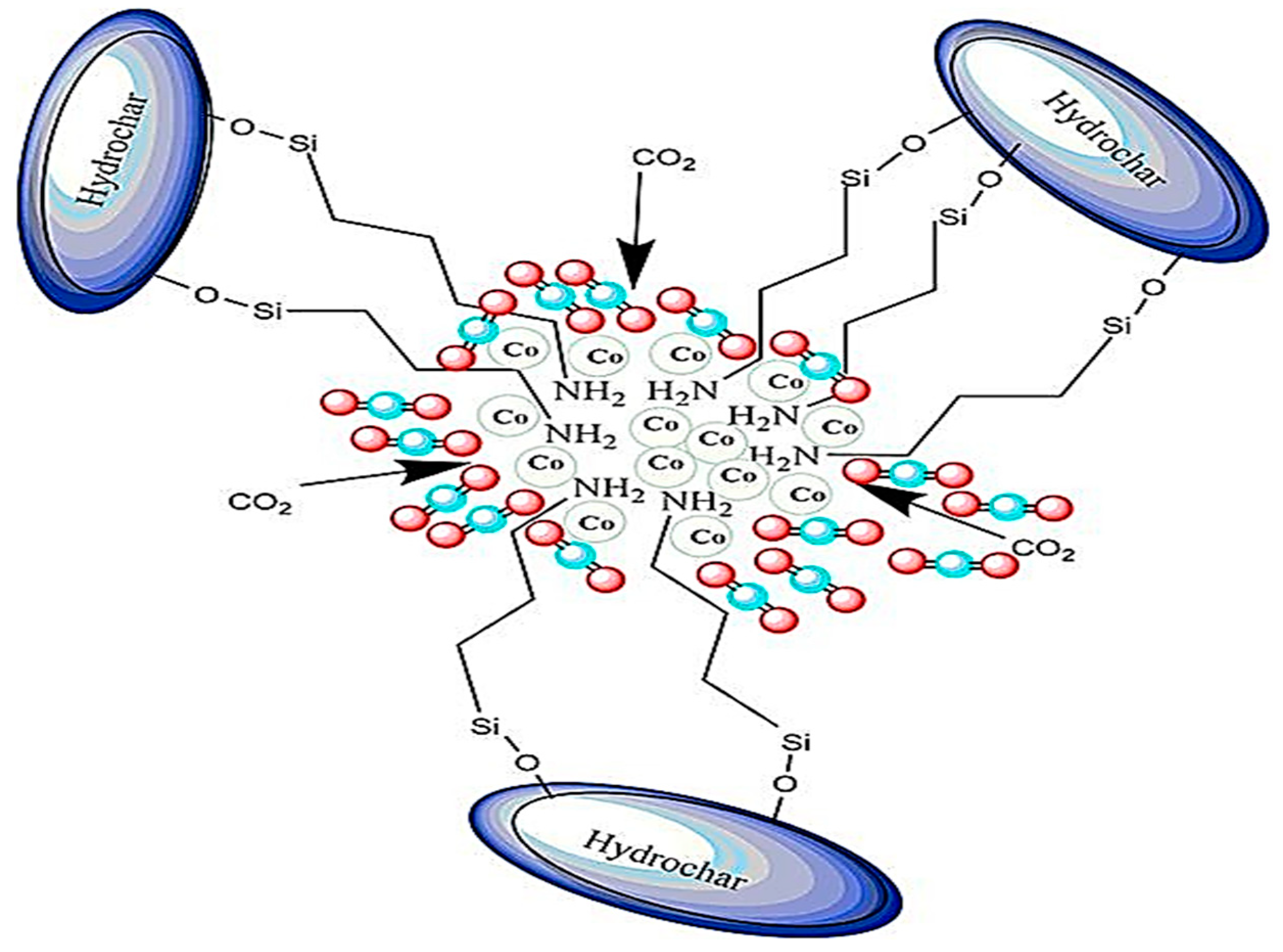 Polymers 14 00378 sch005