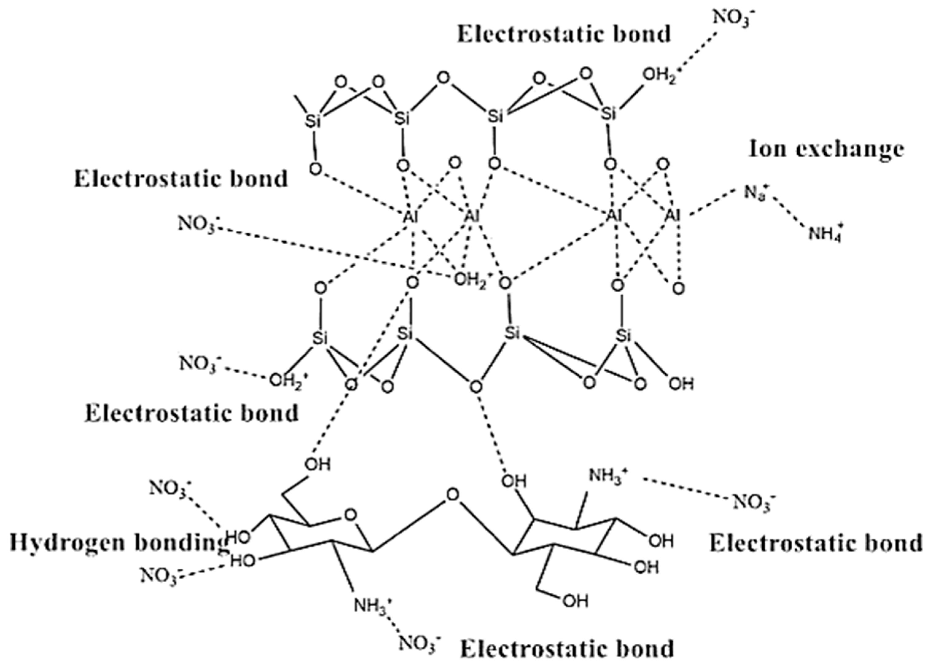 Polymers 14 00378 sch008