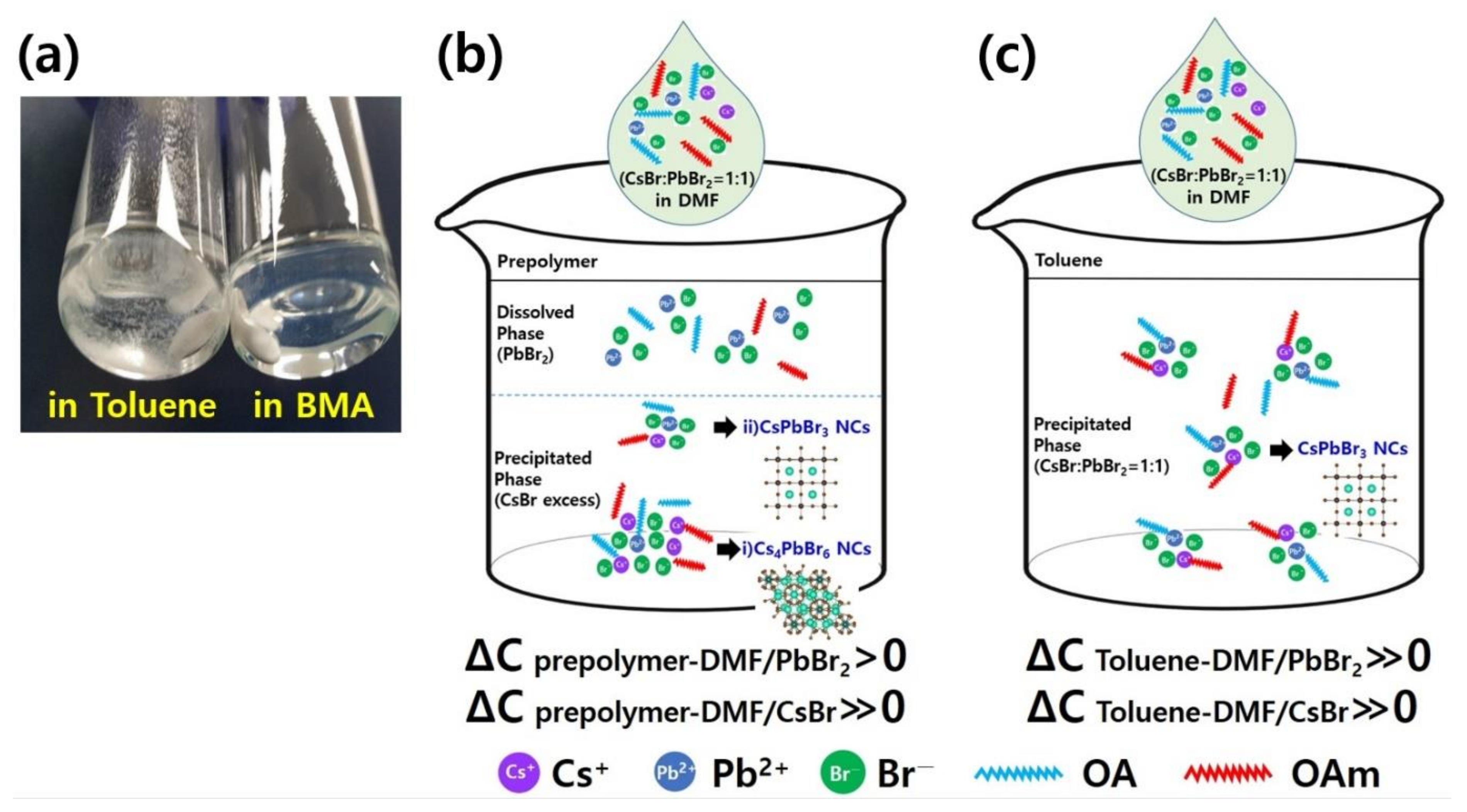 Polymers 14 00381 g003