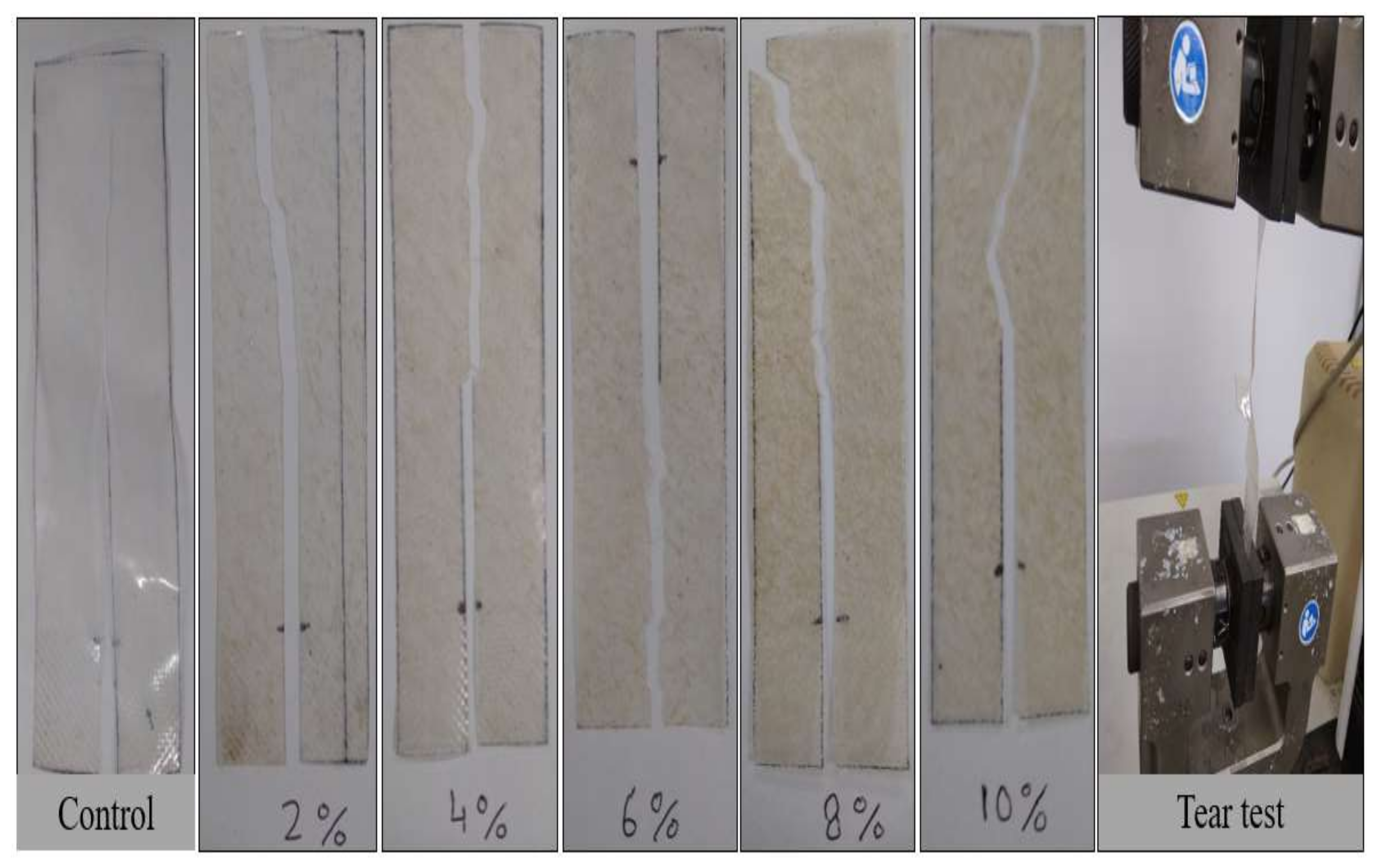 Polymers 14 00388 g006